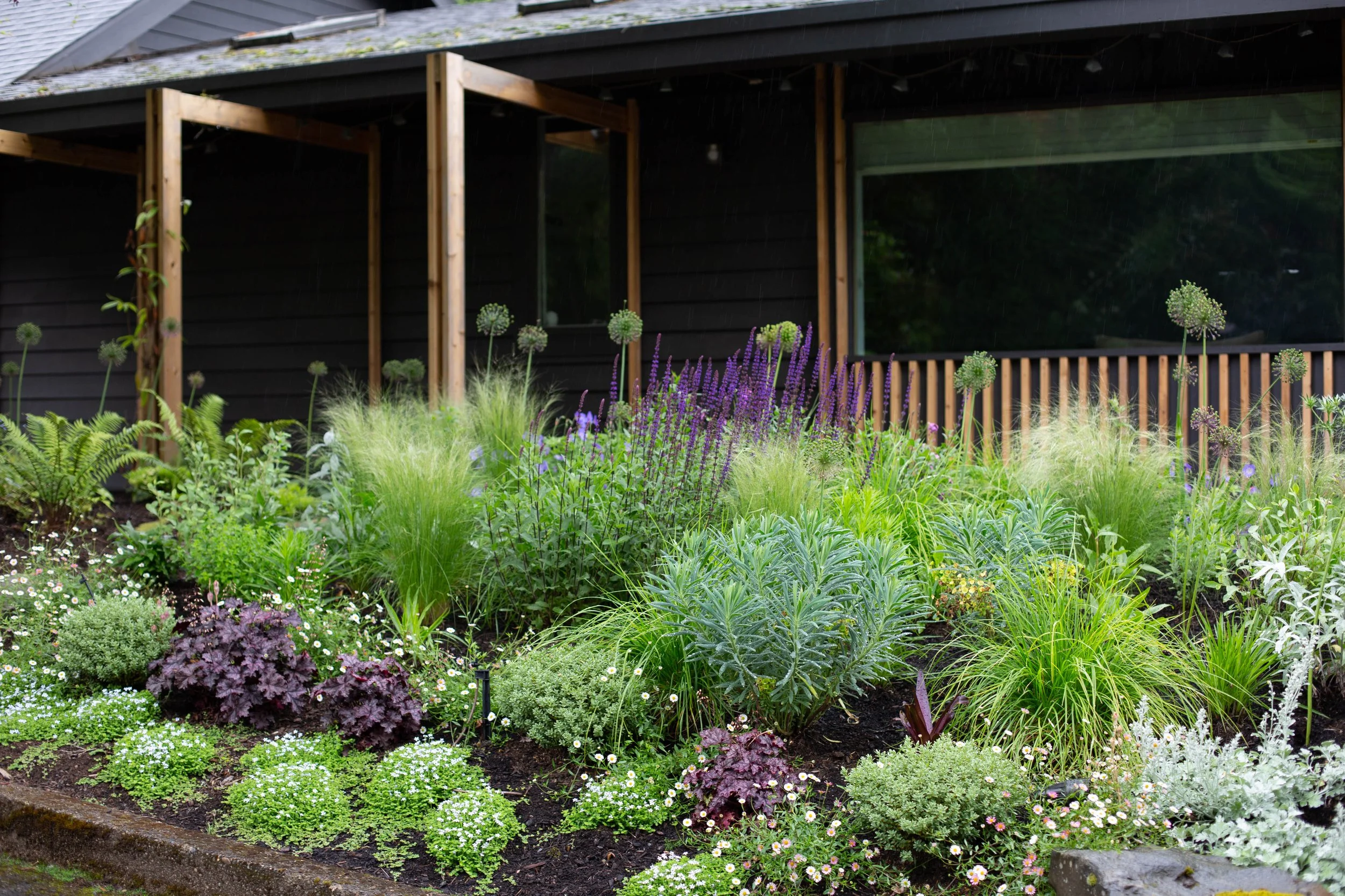 Salvia 'Caradonna' wild garden design by Garden Riot Designs, Hood River, Oregon
