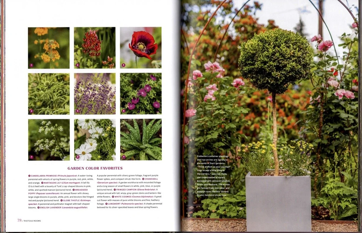 garden-to-the-max-book-teresa-woodard-zoe-van-baaren-5.jpg