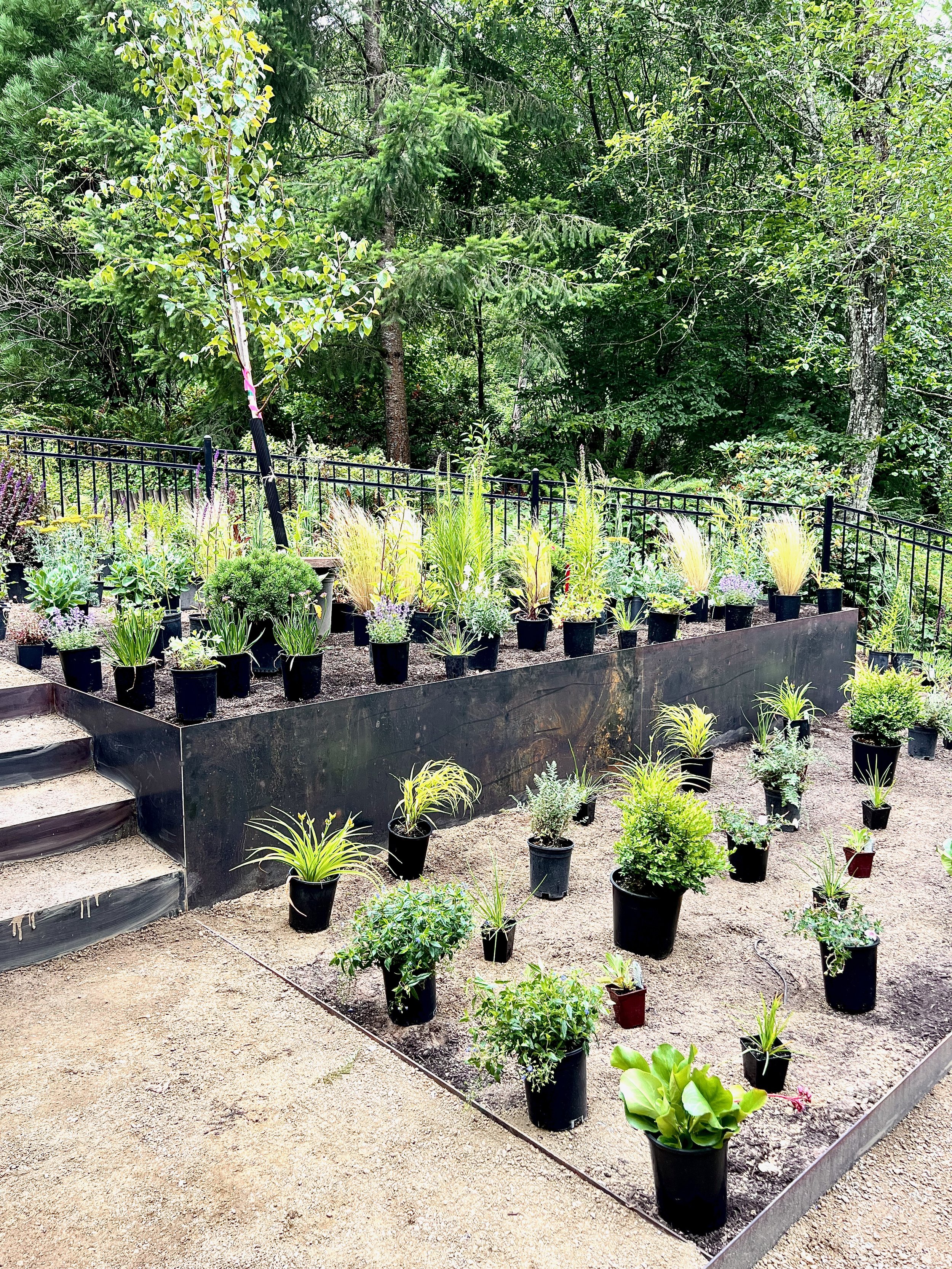 Steel raised beds in a modern wild meadow garden by Garden Riot Designs, Columbia Gorge
