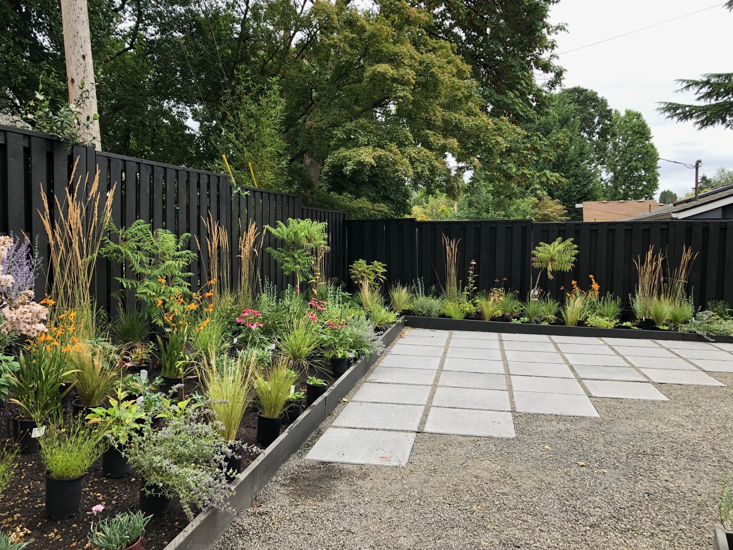 Karl Foerster grasses in a natural meadow garden by Garden Riot Designs, Hood River