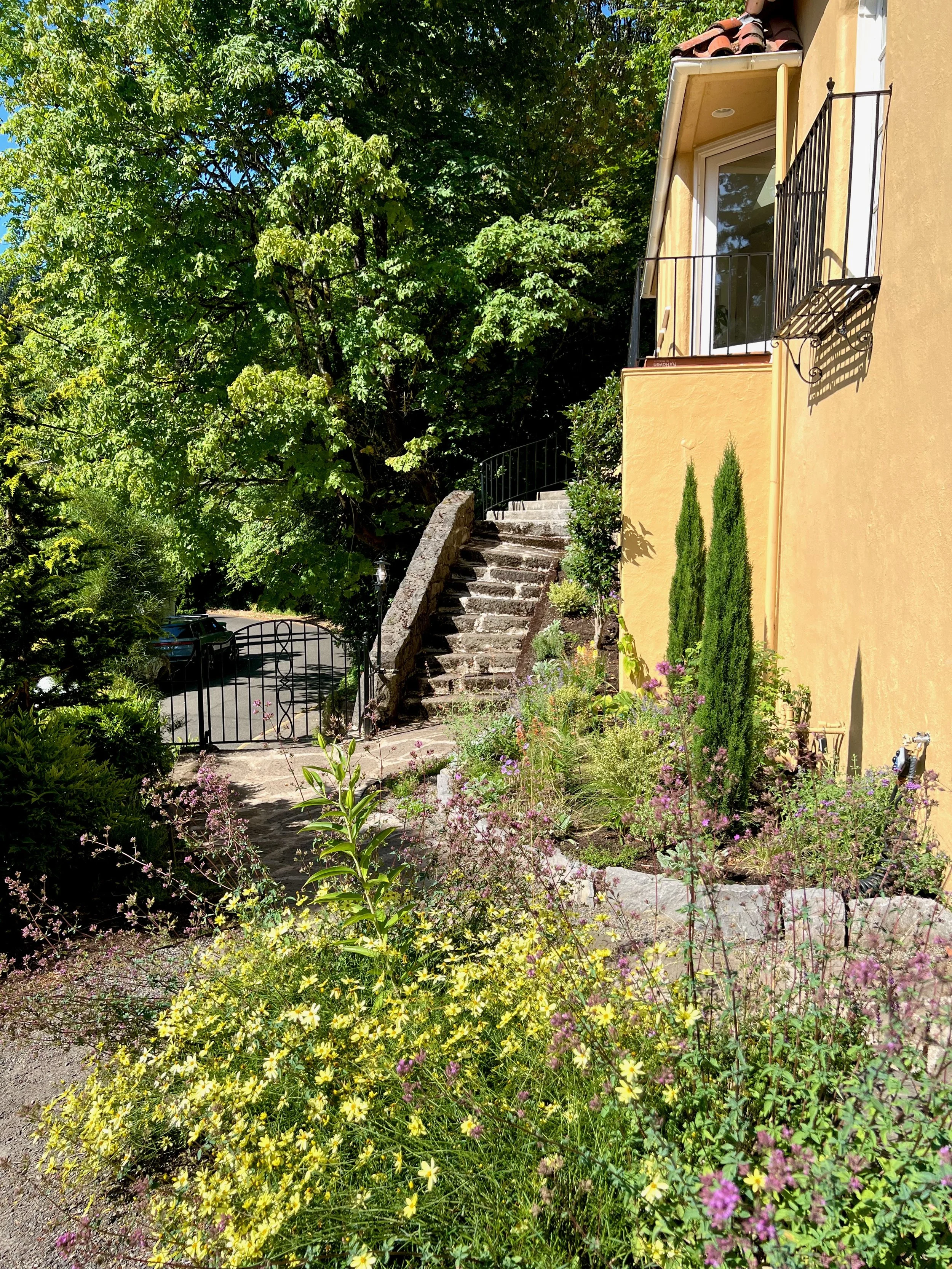 Mediterranean garden with coreopsis and oregano by Garden Riot Designs, Columbia River Gorge 
