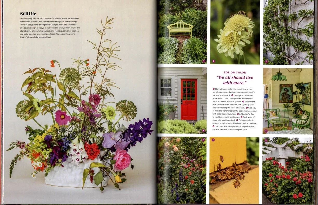 garden-to-the-max-book-teresa-woodard-zoe-van-baaren-6.jpg
