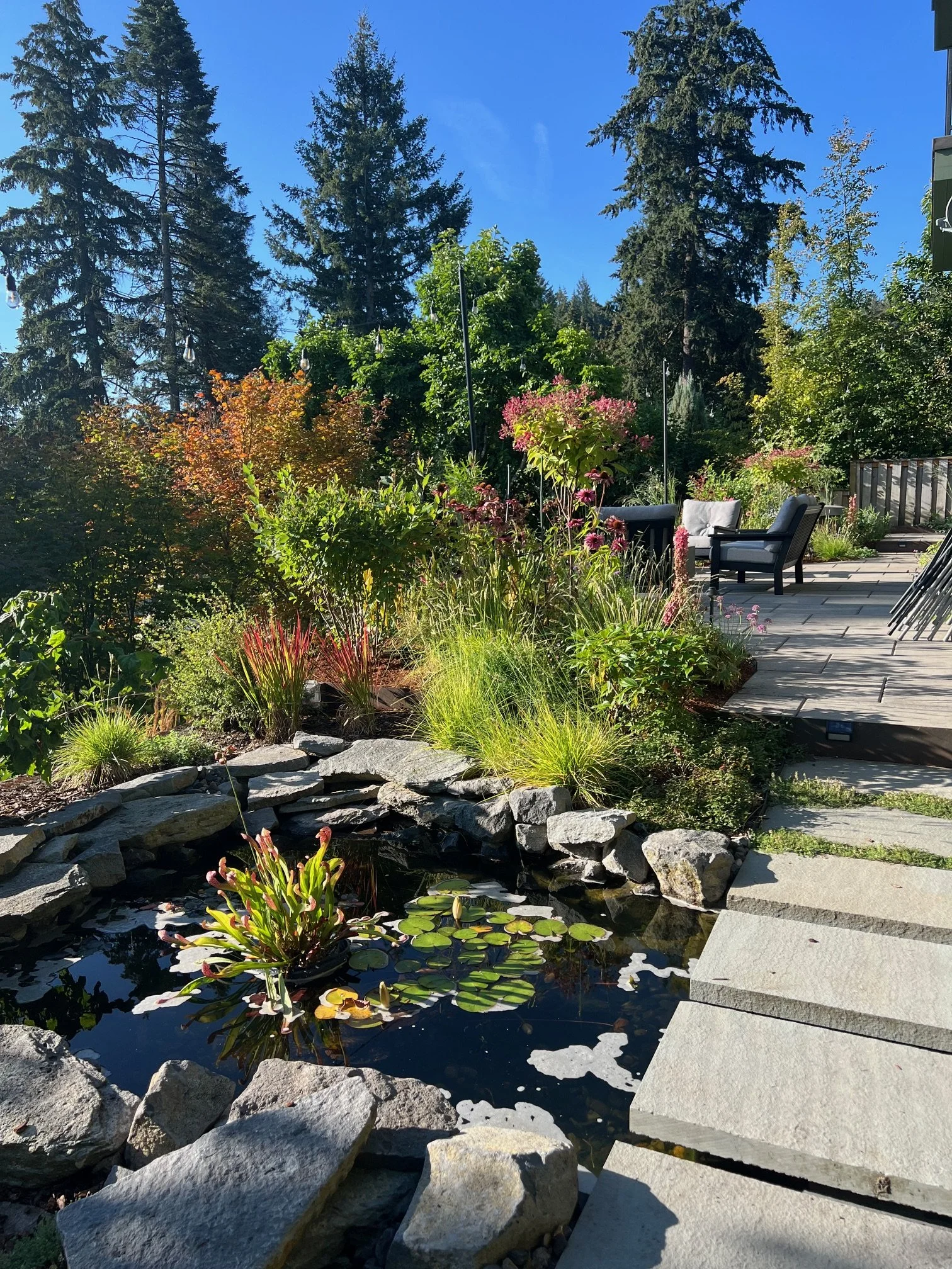 Water lily pond and paver patio garden design by Garden Riot Designs, Columbia Gorge