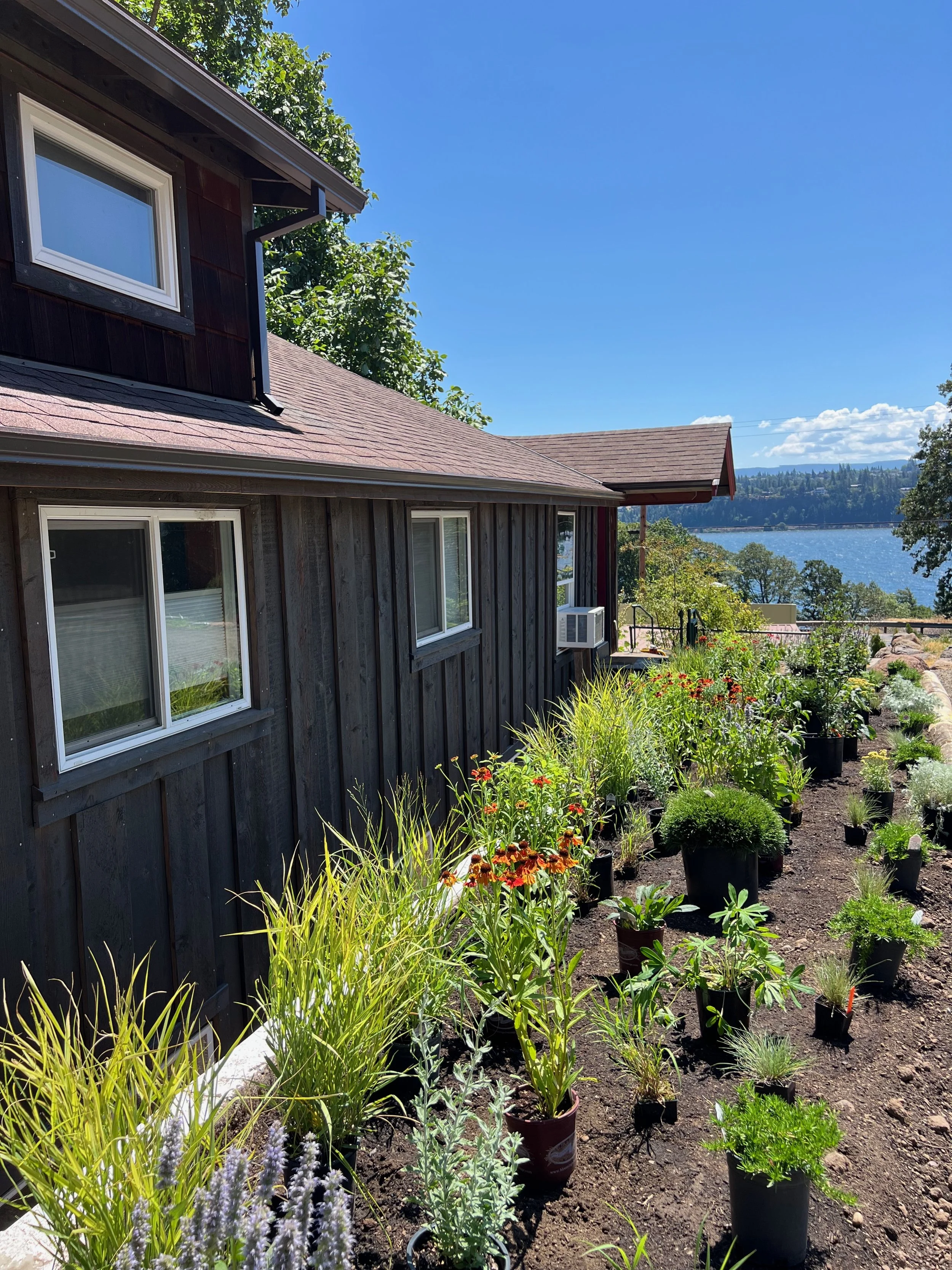 Heirloom naturalistic landscape design by Garden Riot Designs, Underwood, Oregon 