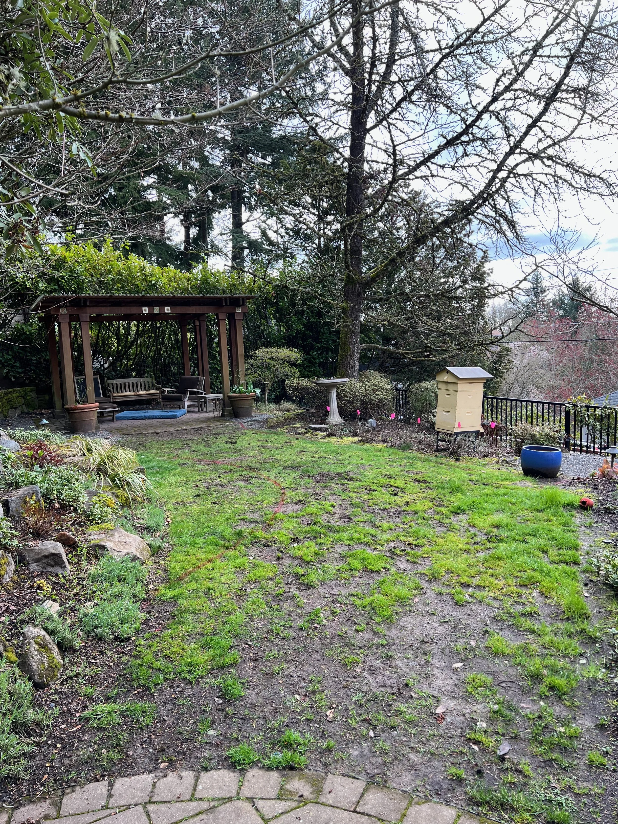 Before and after soggy yard transformation by Garden Riot Designs, Pacific Northwest 