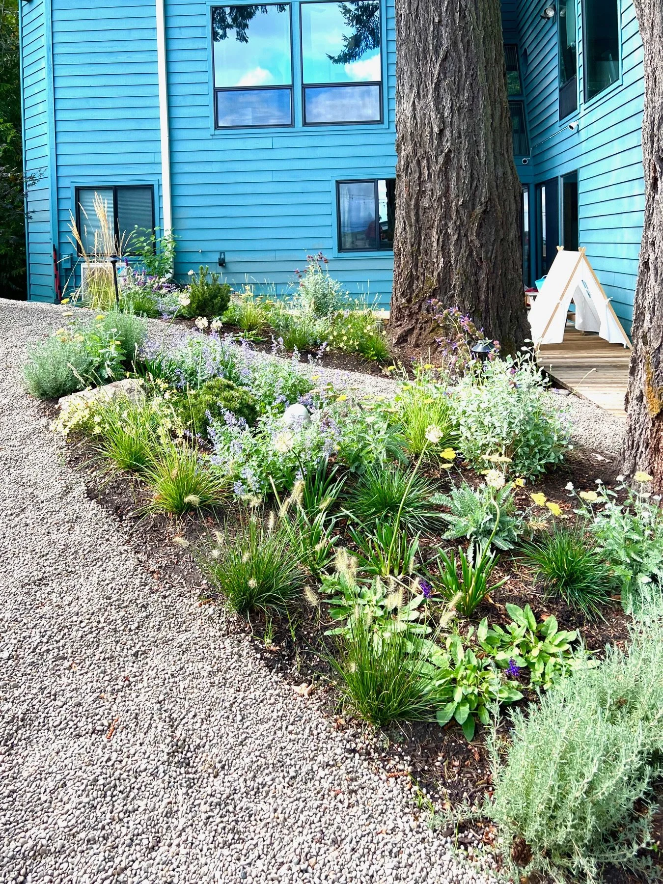 Gravel garden with island meadow planting by Garden Riot Designs, Columbia River Gorge