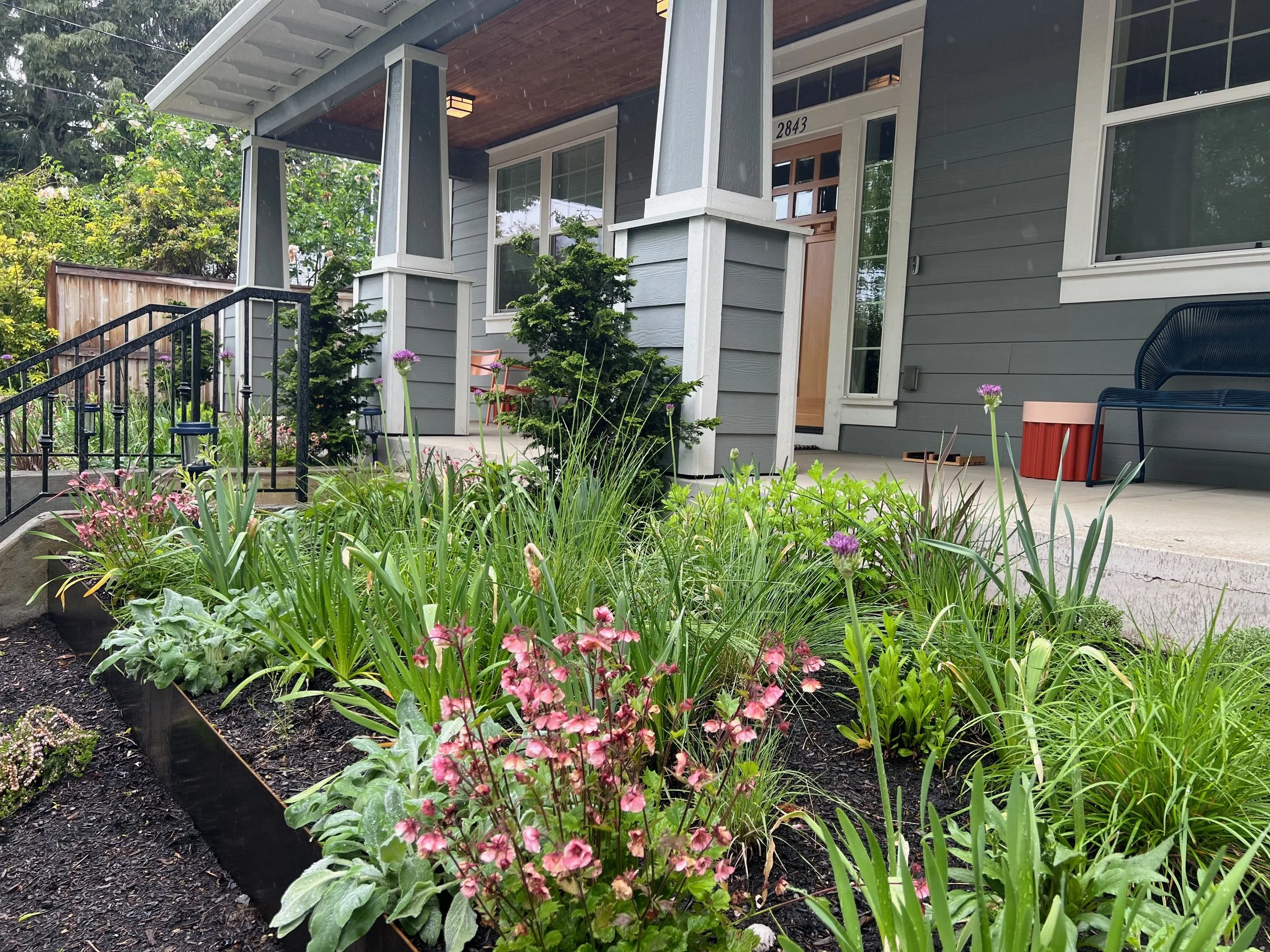 Lamb's ear front garden design by Garden Riot Designs, Hood River, Oregon 