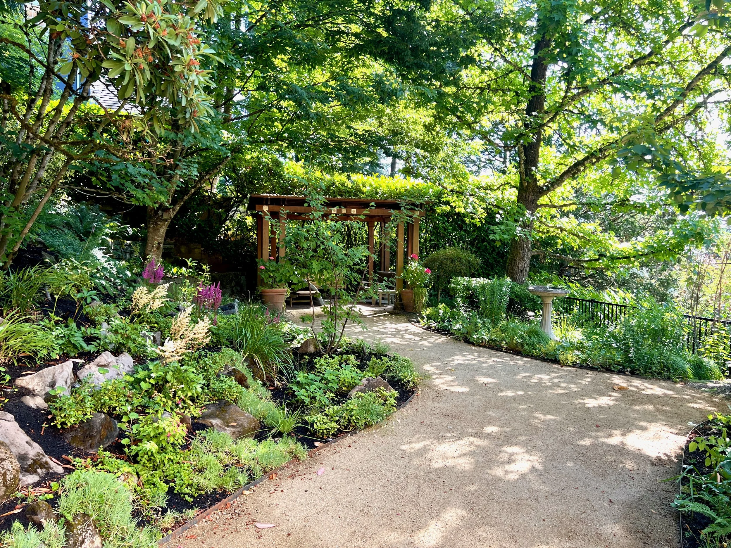 Astilbe shade garden, PNW, decomposed granite, steel edging, Garden Riot Designs
