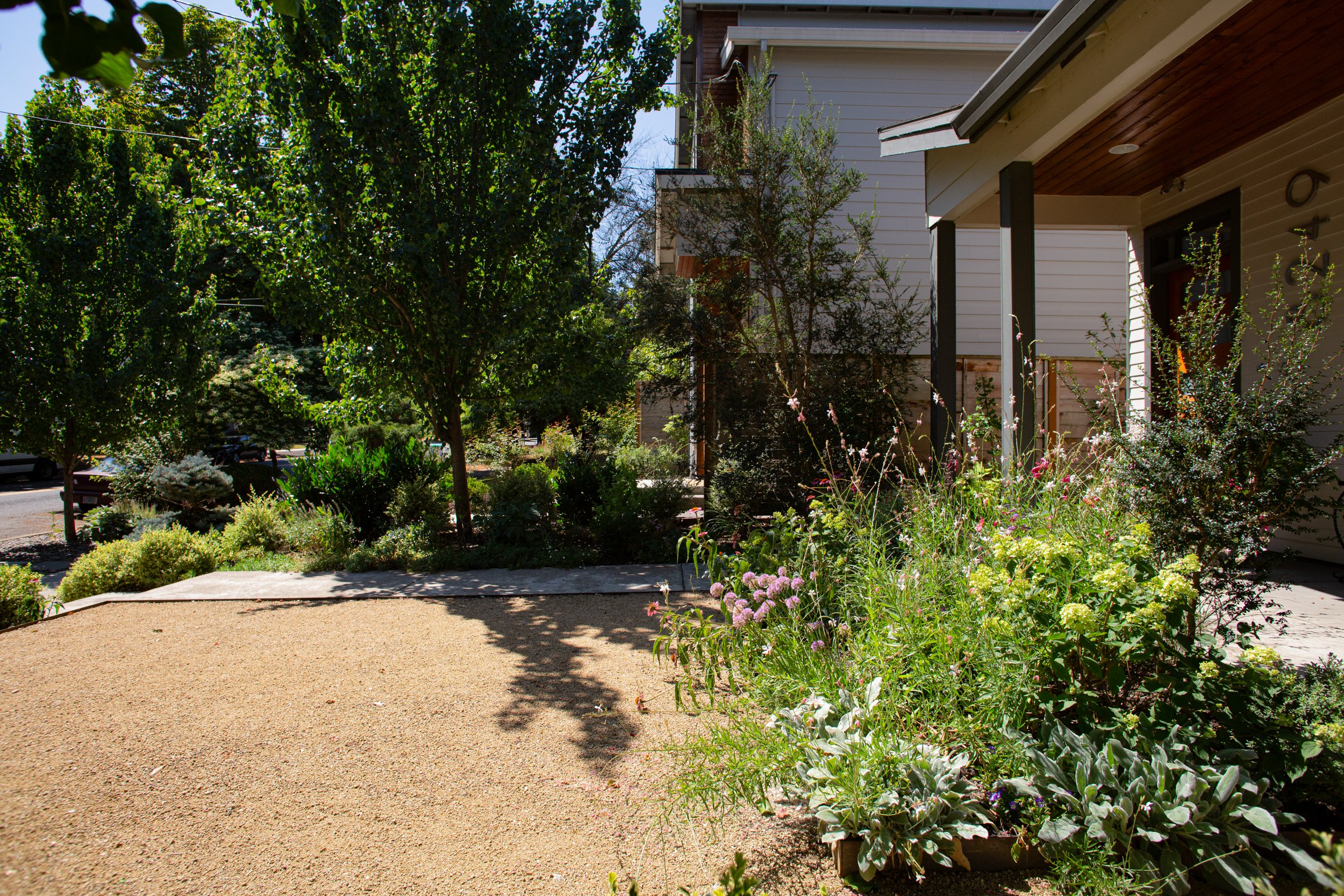 Decomposed granite no-lawn small front yard by Garden Riot Designs, Hood River, Oregon