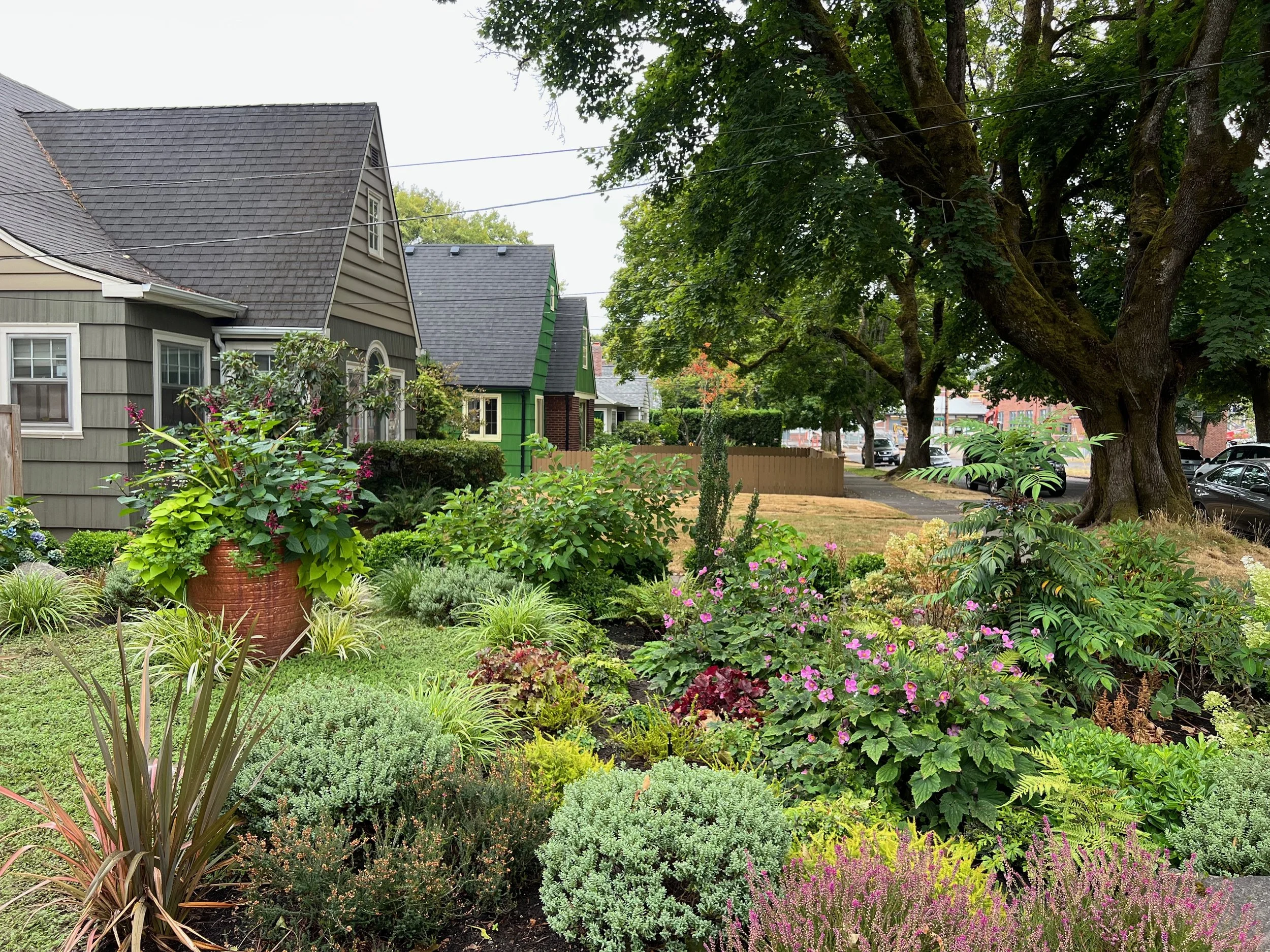 Phase 1, Site Visit, Design and Build, Garden Design Columbia River Gorge, Garden Riot Design