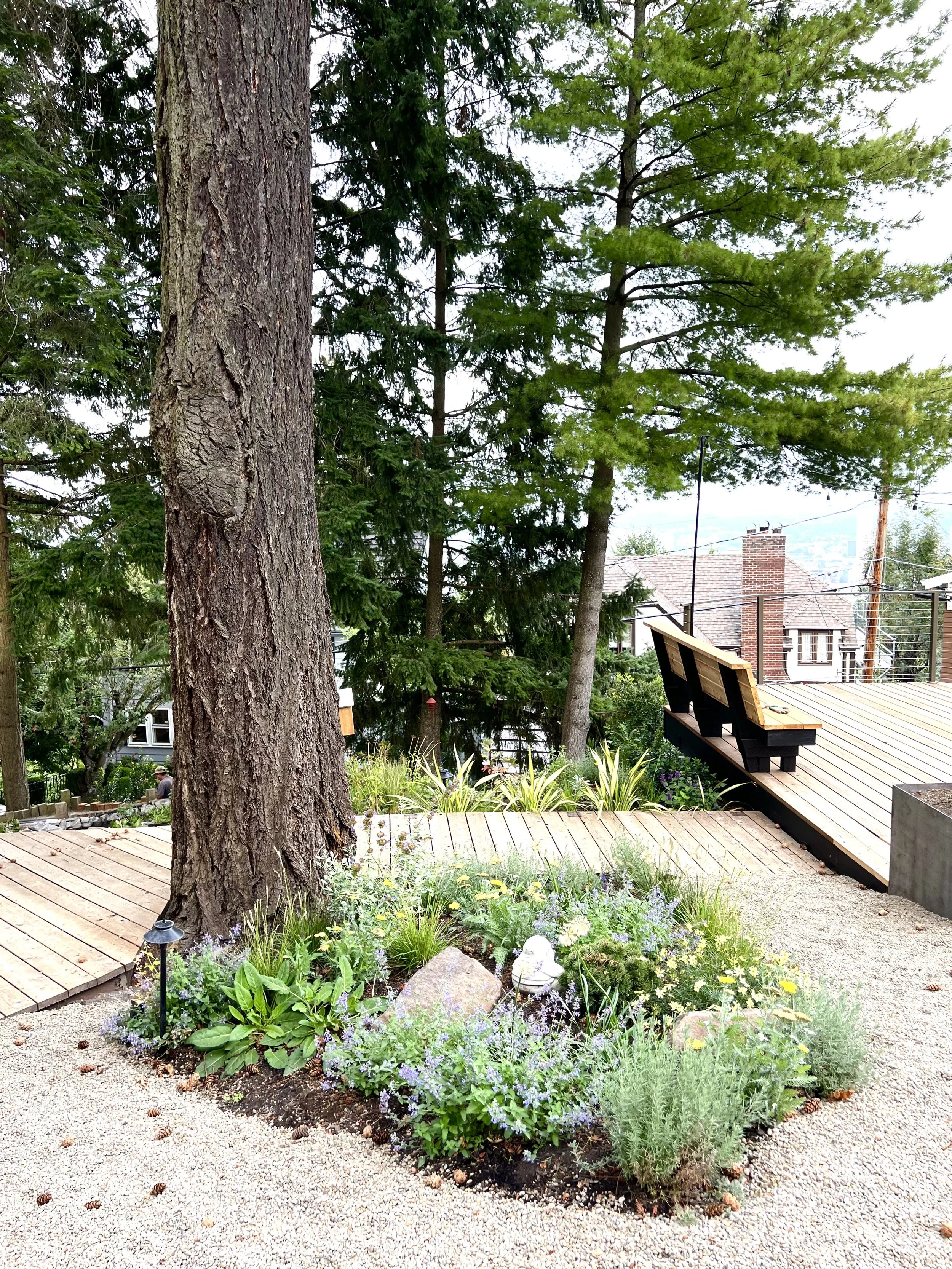 Nepeta, catmint, and lavender island planting by Garden Riot Designs, Stevenson, Washington