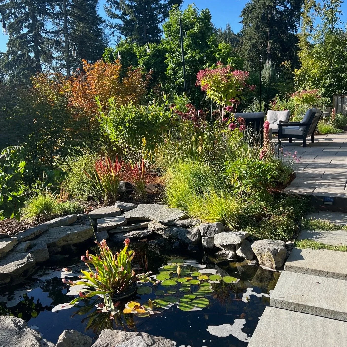 Phase 3 From drawing to ground, construction and coordination, Garden Riot Designs.