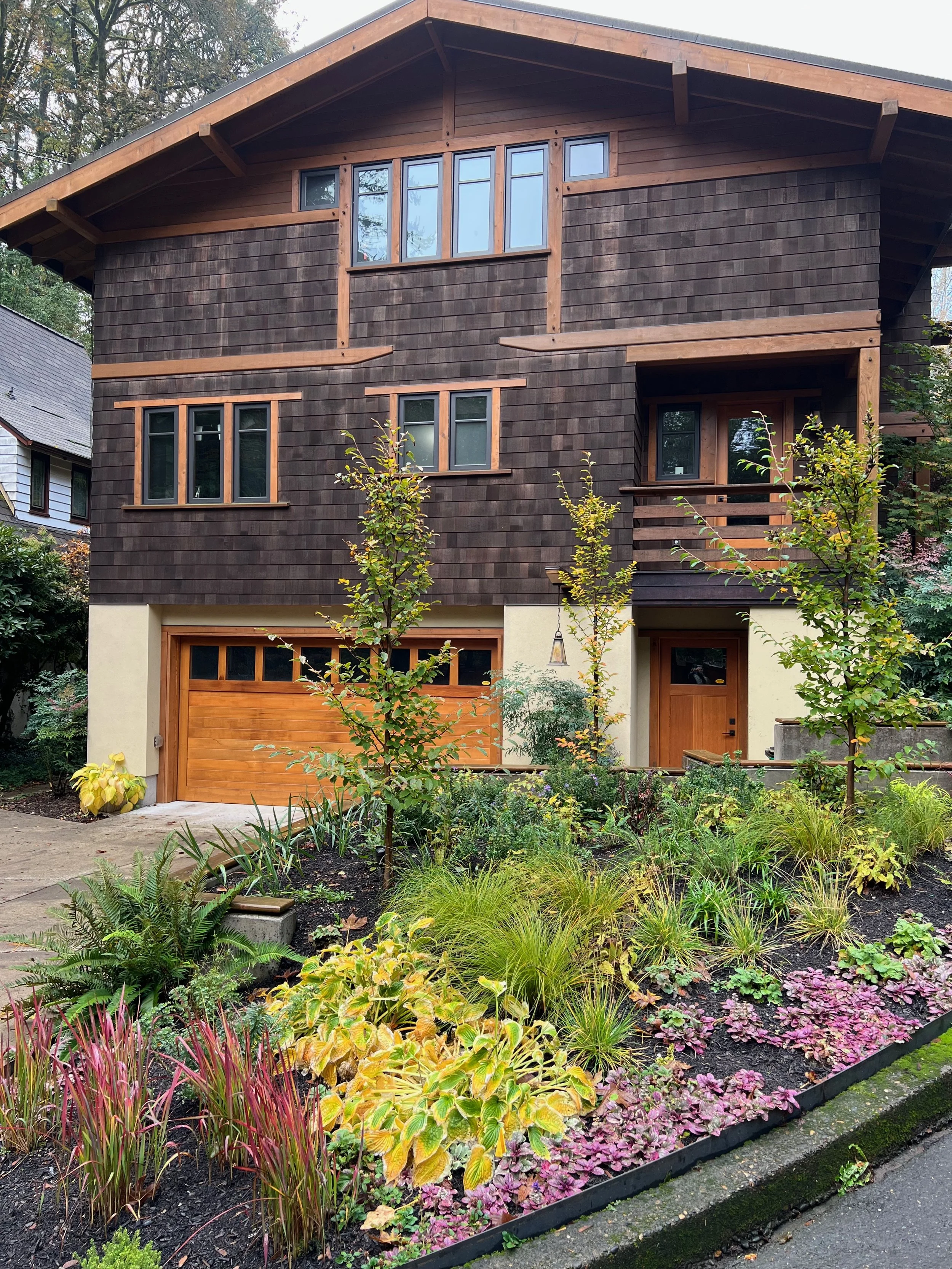 No-lawn garden with ajuga and blood grass by Garden Riot Designs, Pacific Northwest 