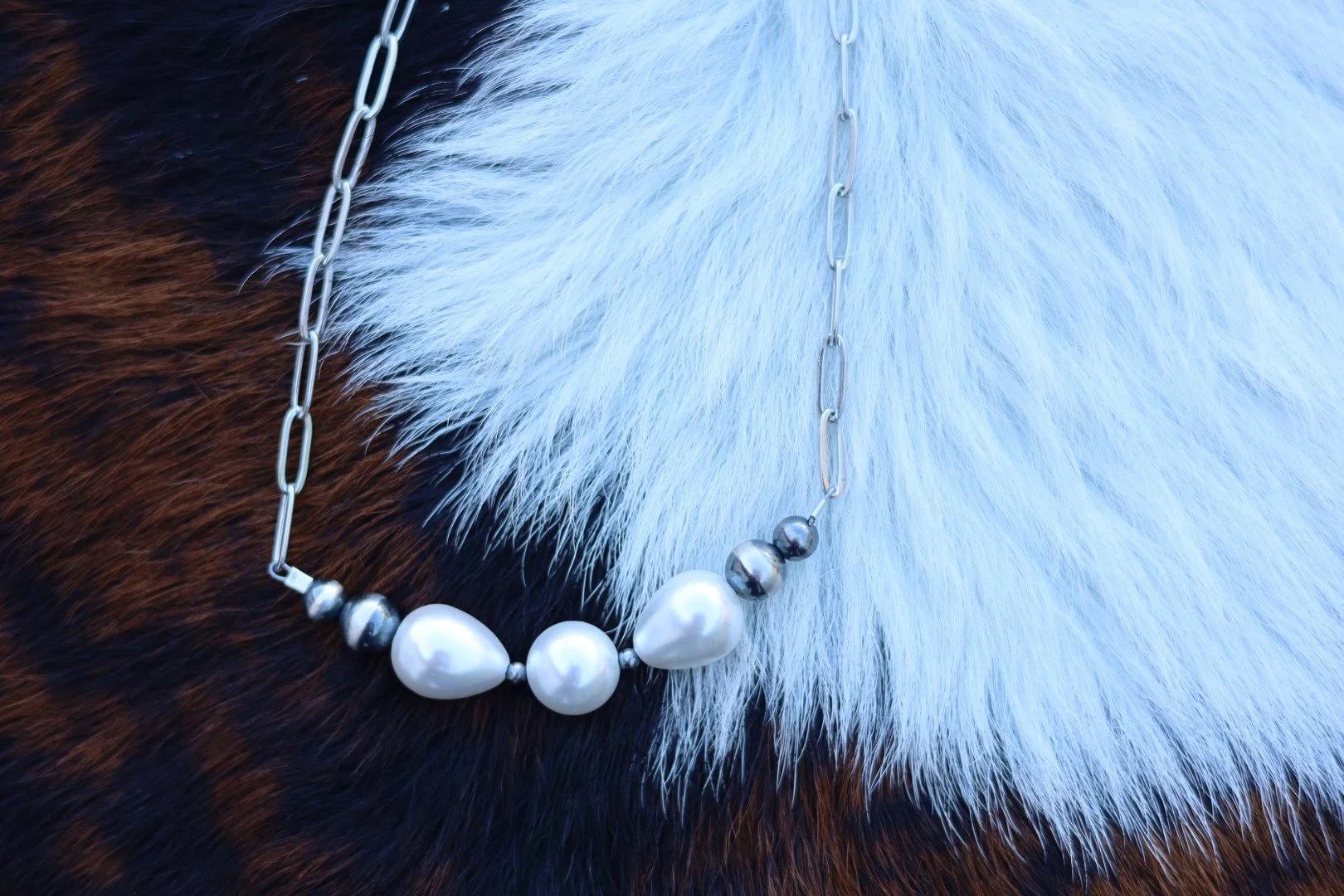 IMG_2769.JPG