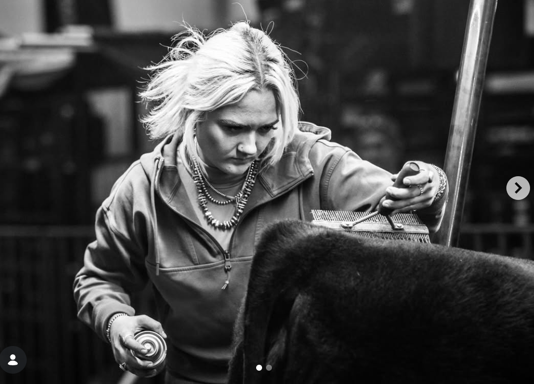 A woman with short, blonde hair grooming a large dog, possibly a mastiff or similar breed, in a grooming salon or kennel.