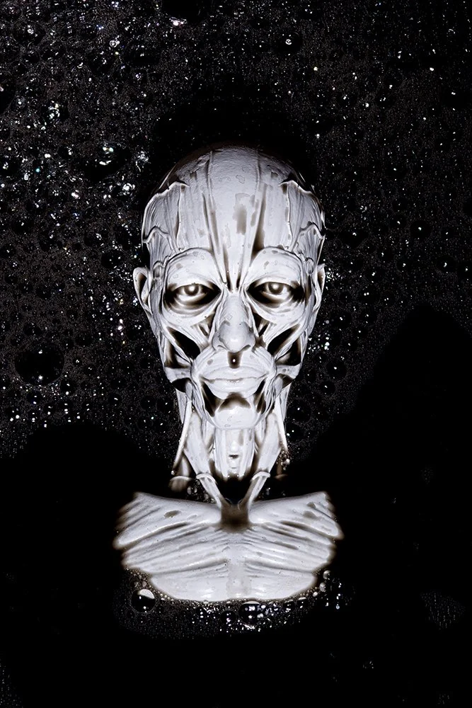 In His Own Image.jpg