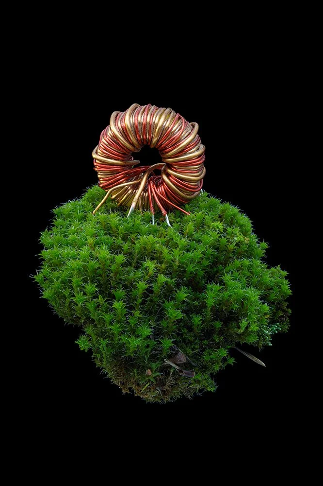 motherboard mother earth moss.jpg