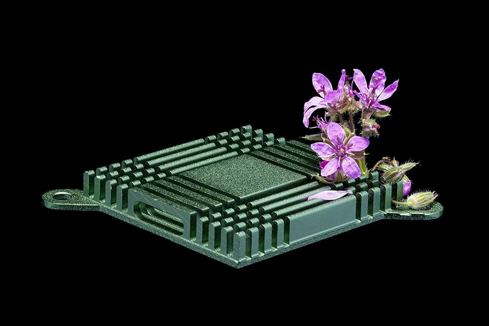 motherboard mother earth PG.jpg