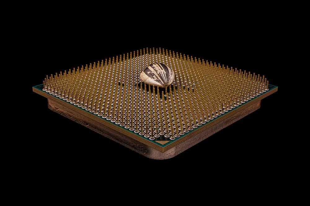 motherboard mother earth.jpg