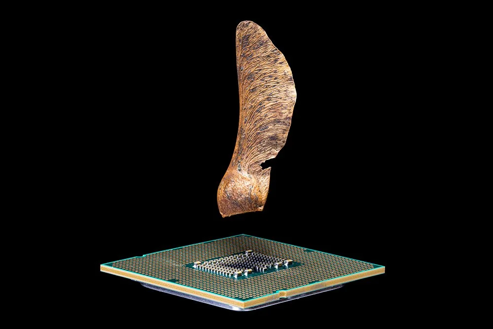 whispers of code.jpg