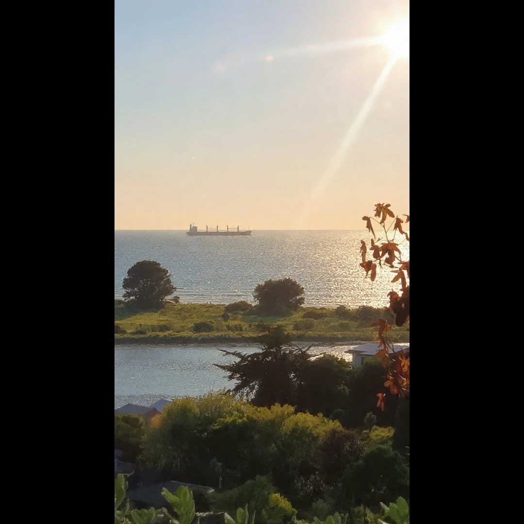 #chch #sundaymood☀️ #sunnydays☀️