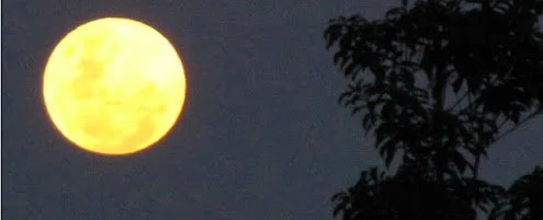 Naps are Not Just for a Sunday