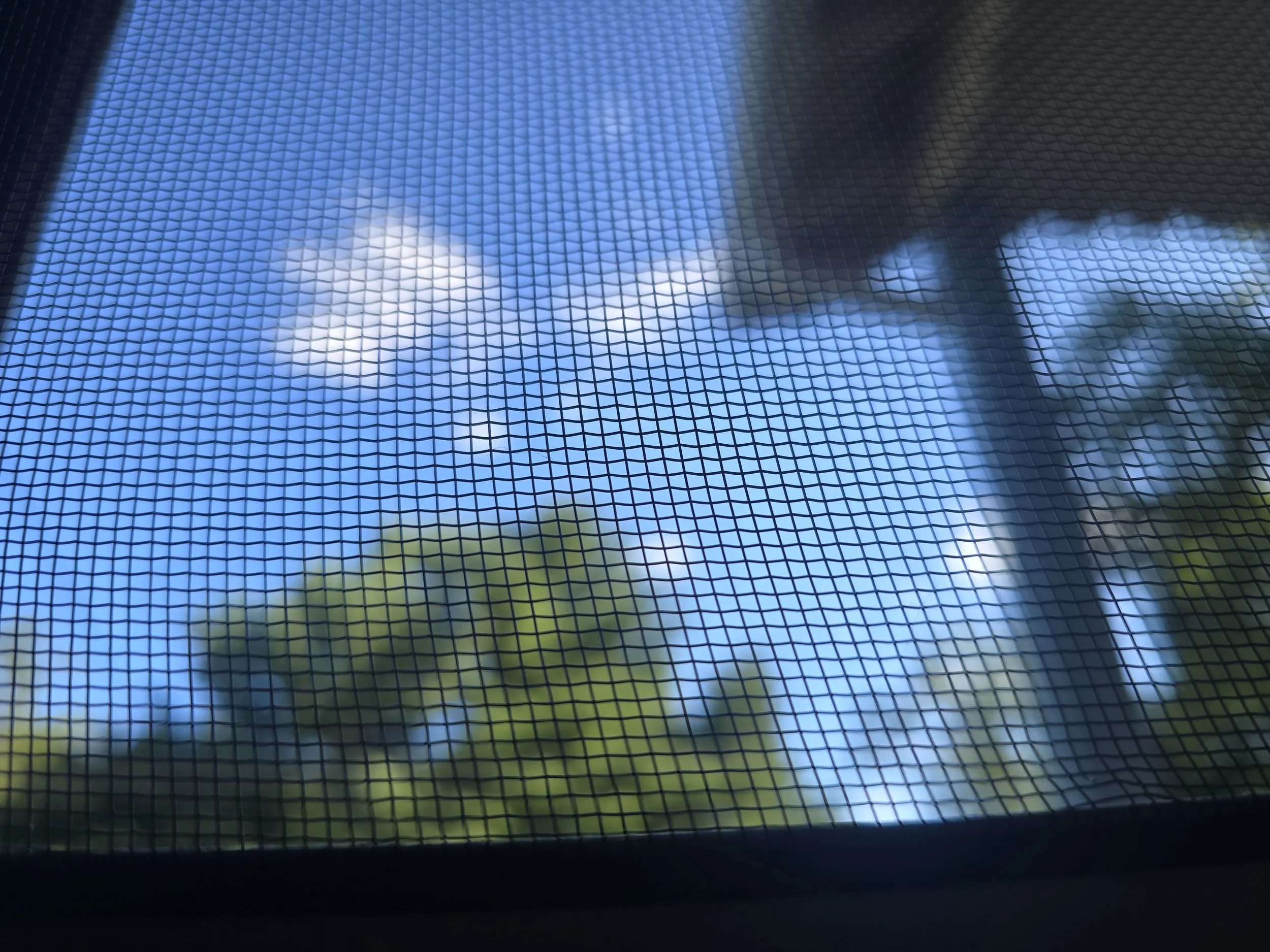 View of a partly cloudy blue sky through a window screen, with tree branches and leaves visible outside.