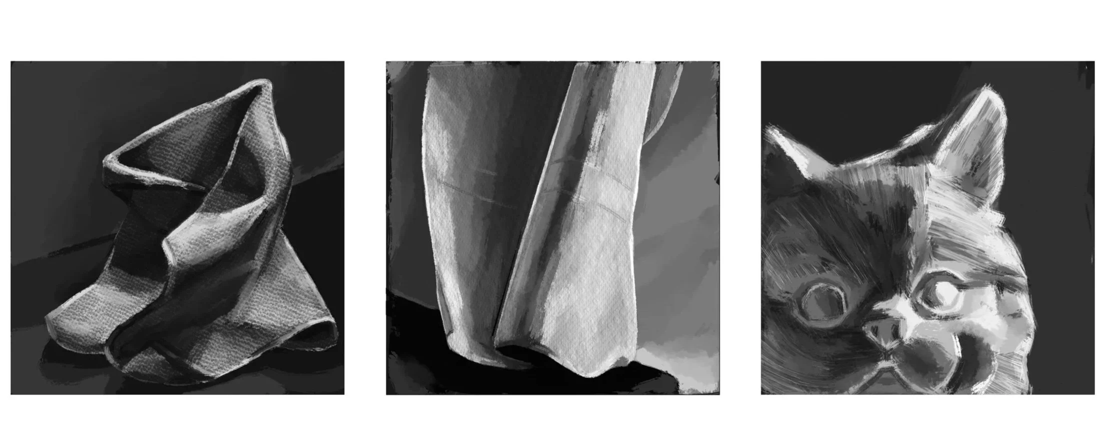 Black and white photos of a crumpled cloth, a folded cloth, and a cat's face.