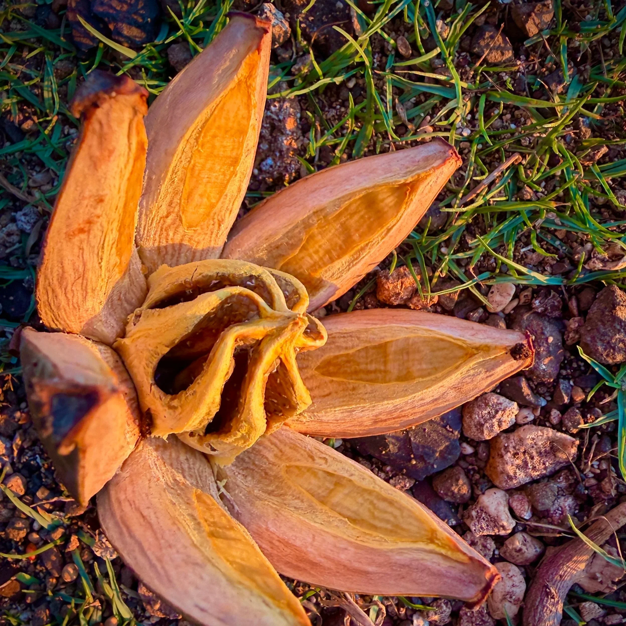 Summer Updates: Fitness Classes, Special Thanks &amp; More!