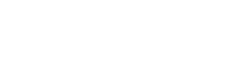 Lexis-Nexis-Logo-Wht.png