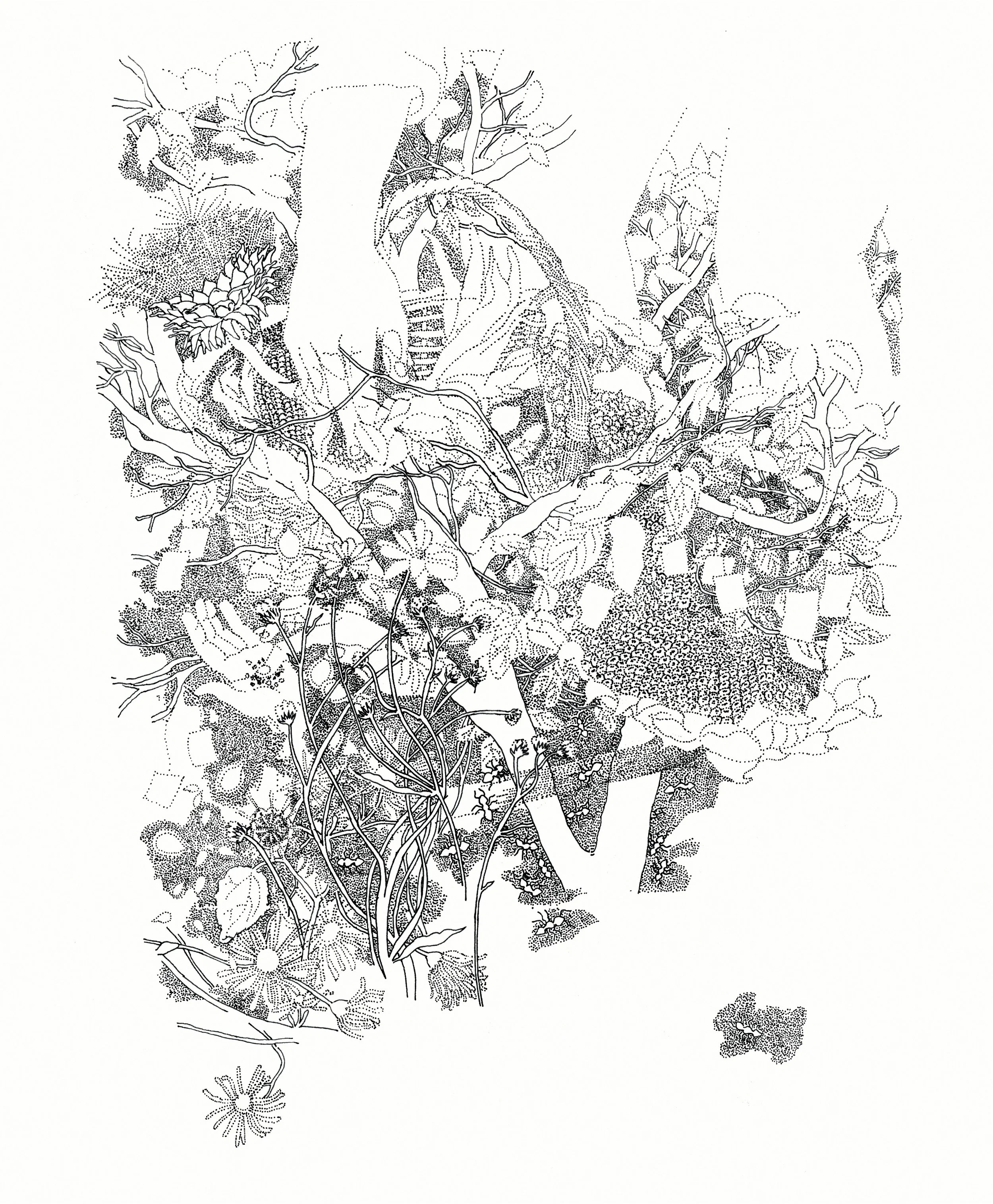 casa de semințe.jpg