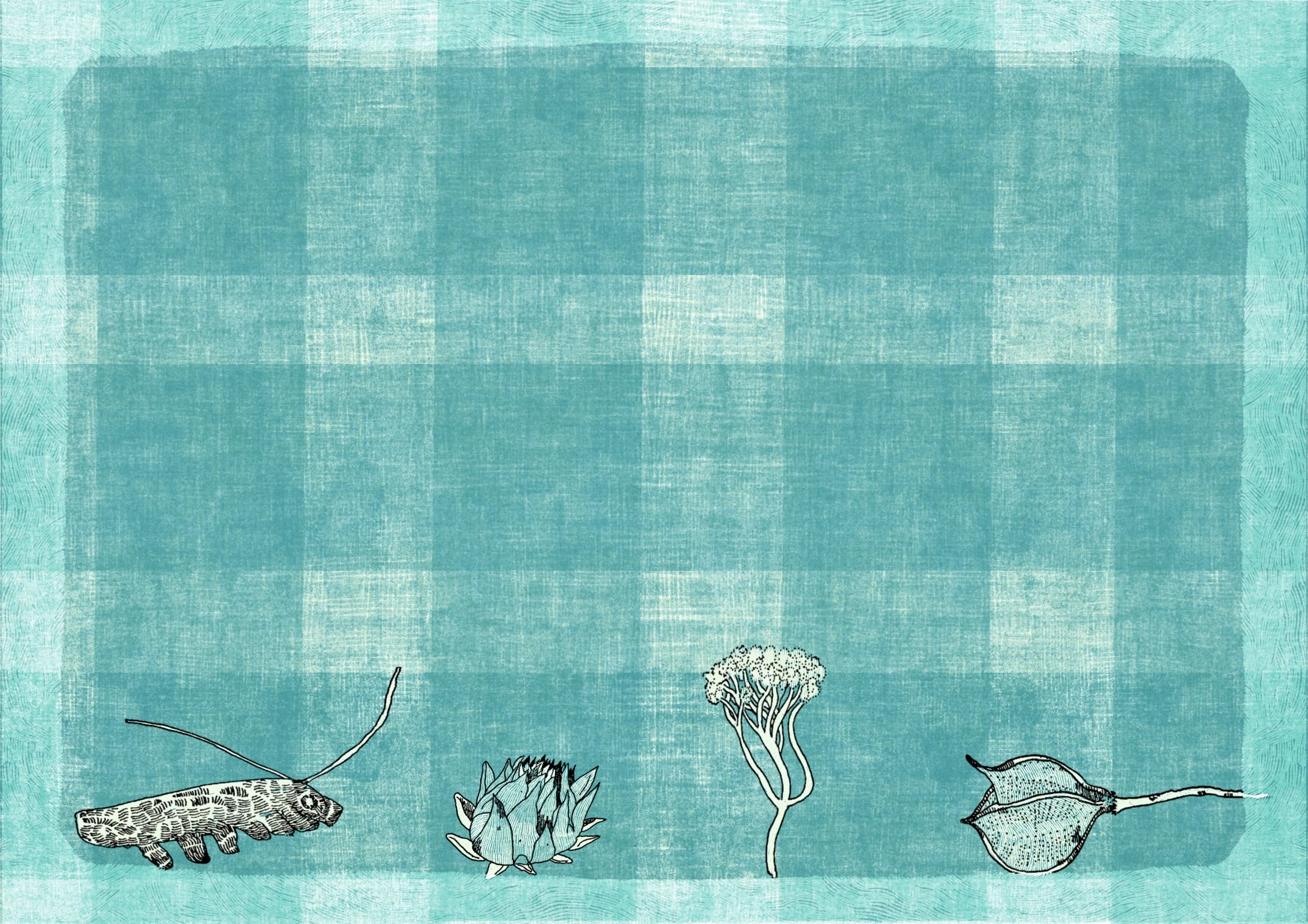 Untitled_Artwork 15 - copie.jpg