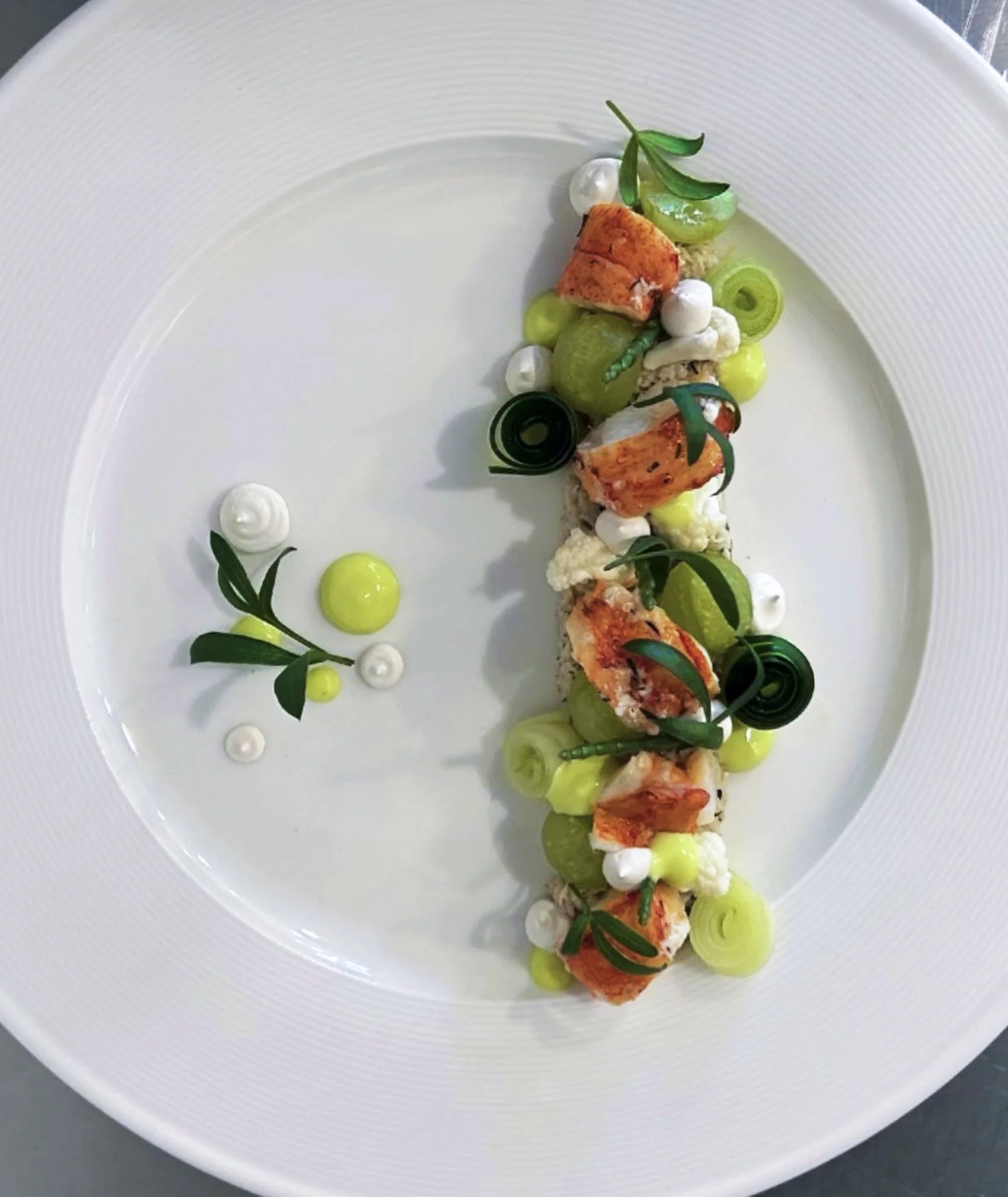 A gourmet dish featuring neatly arranged pieces of cooked lobster, green vegetables, and garnishes on a white plate with artistic sauce dots and leaf decorations.