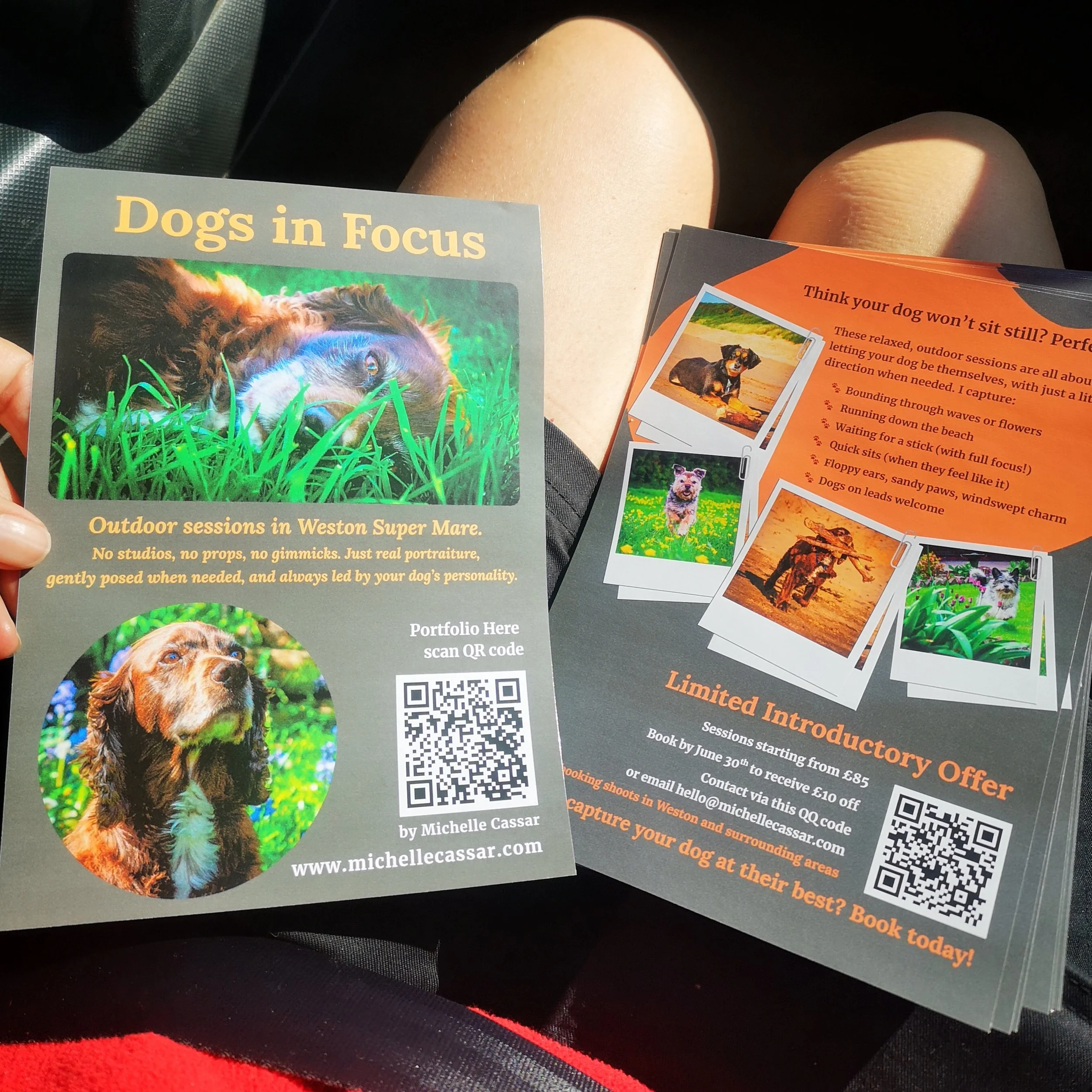 The Dog Show Deadline That Got Me Moving