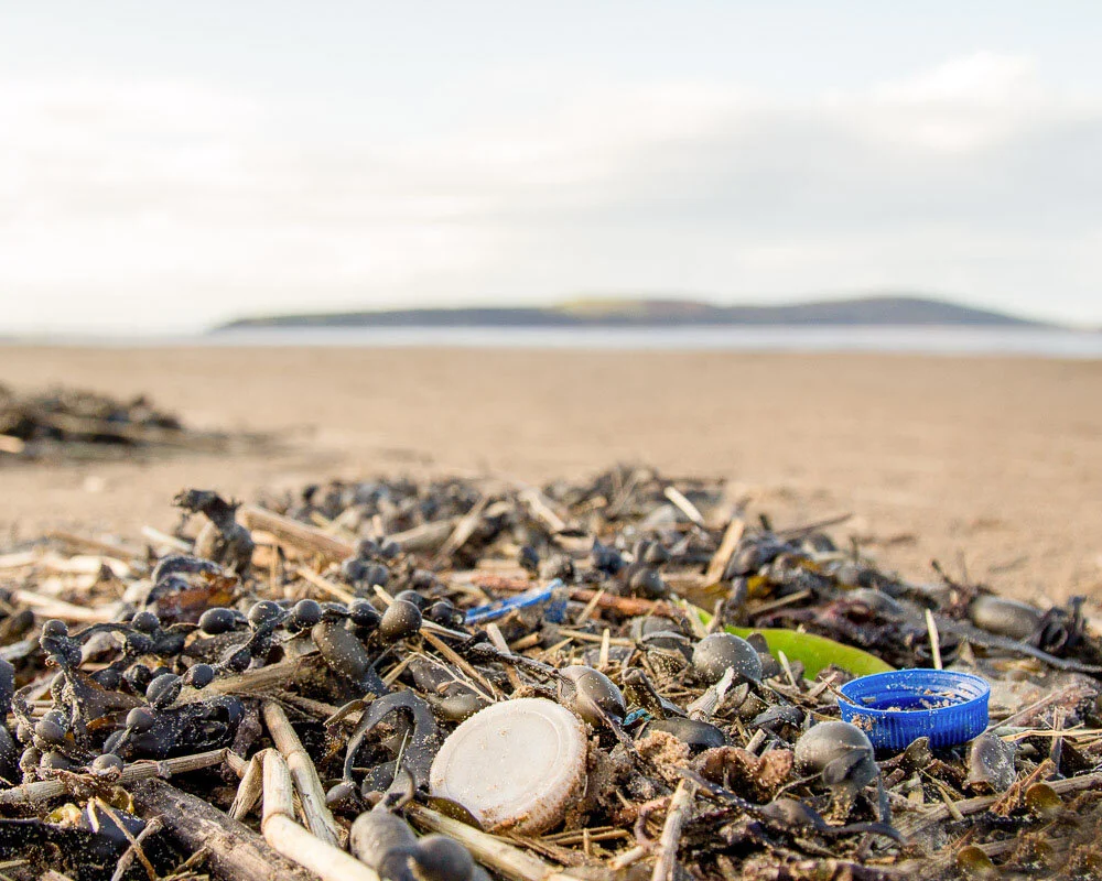 weston pollution.jpg