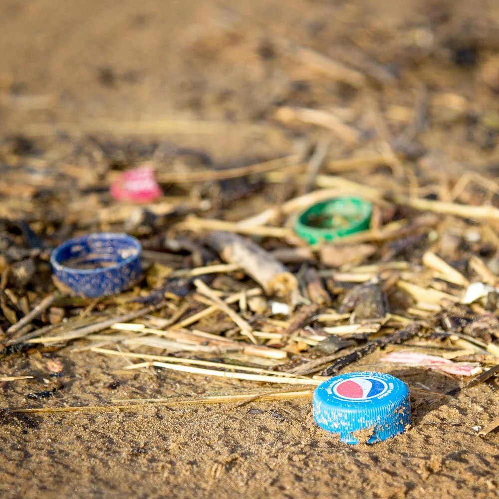 pollution weston.jpg