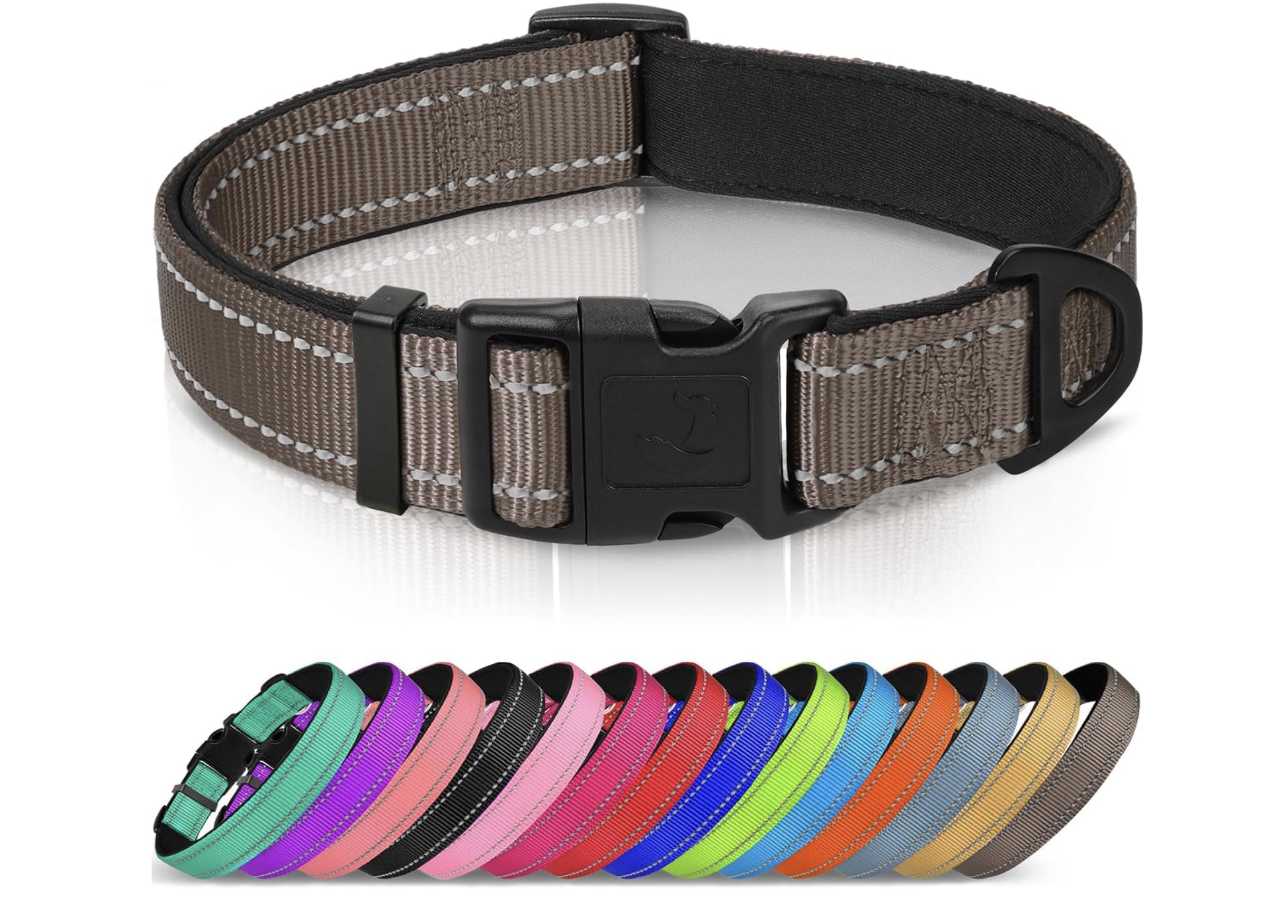 A brown stripe pet collar with black plastic buckle and D-ring, displayed above a line of colorful collars in various colors including purple, pink, black, red, blue, orange, yellow, and gray.