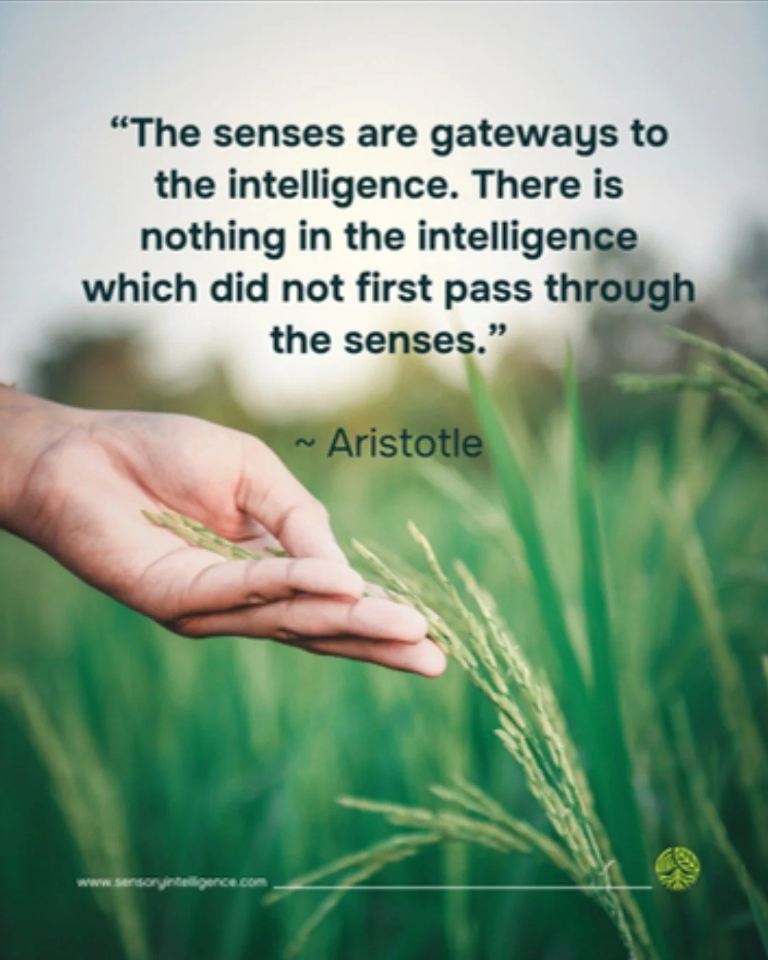 This week I complete my Sensory Intelligence&reg; Practitioner certification under Dr. Annemarie Lombard.

Sensory Intelligence&reg; provided the clinical theory and intervention methods behind the work I do here. It is what allows me to translate ne