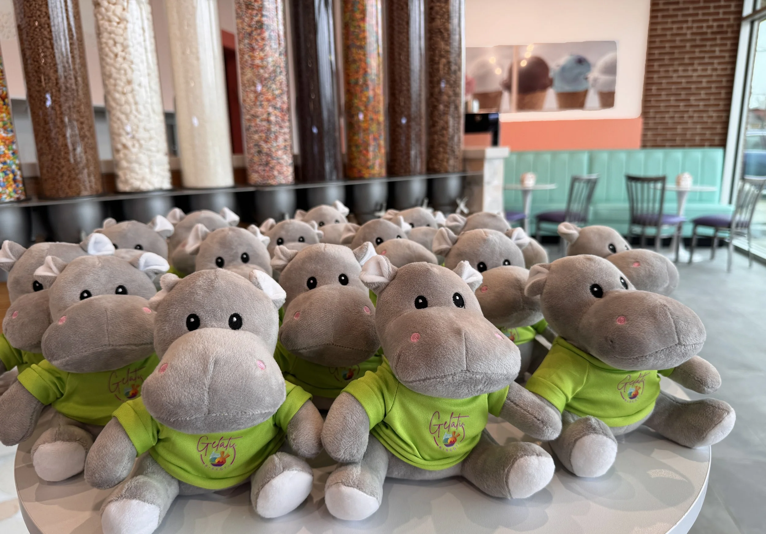Multiple plush Gelati Biscoti hippopotamus toys wearing green shirts with a colorful logo, arranged on a table inside a gelato shop.