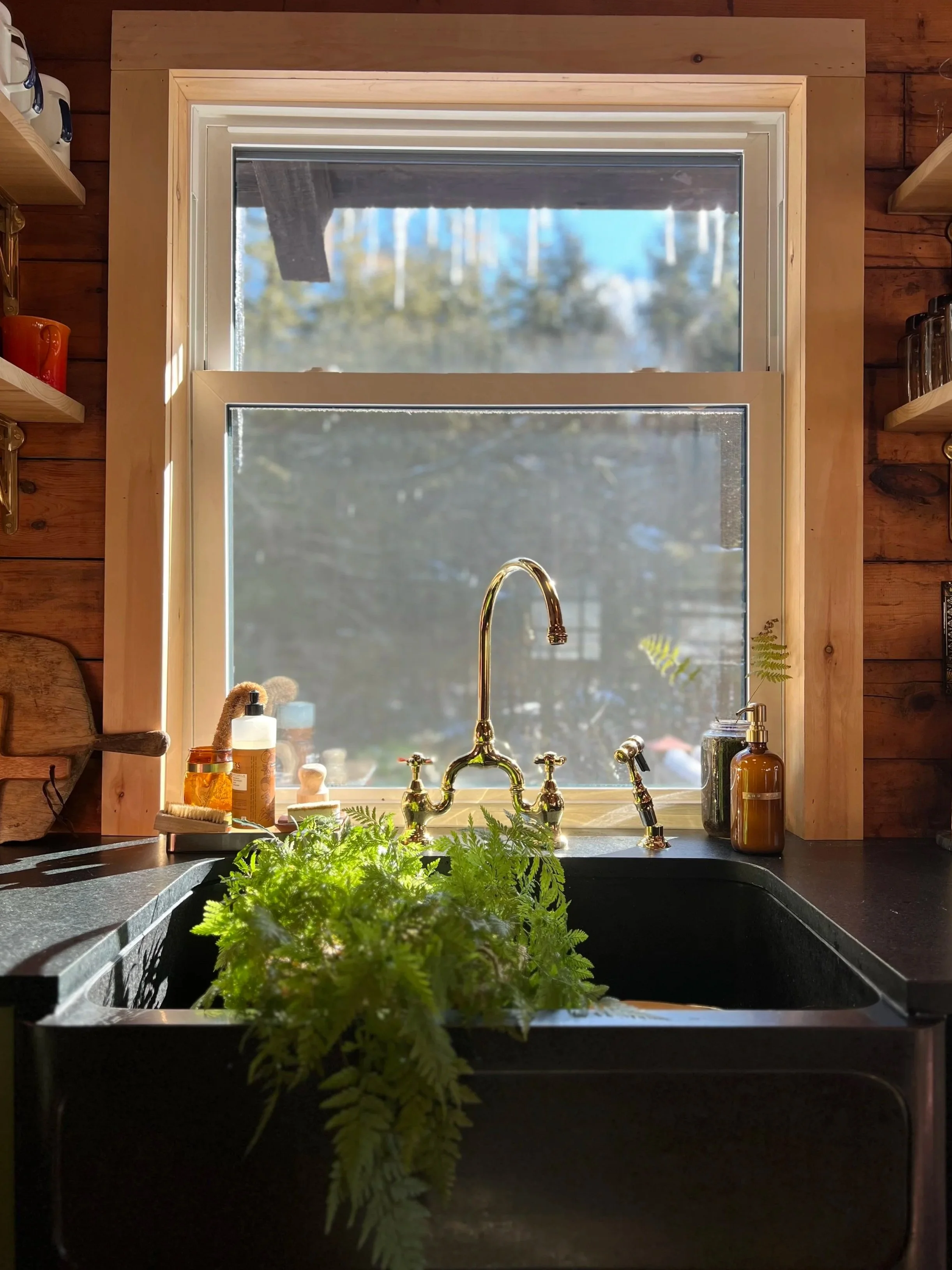 A kitchen sink with green plants on it, situated under a window with a view of trees and blue sky outside. The sink has a gold faucet, and bottles and jars are placed on the windowsill.