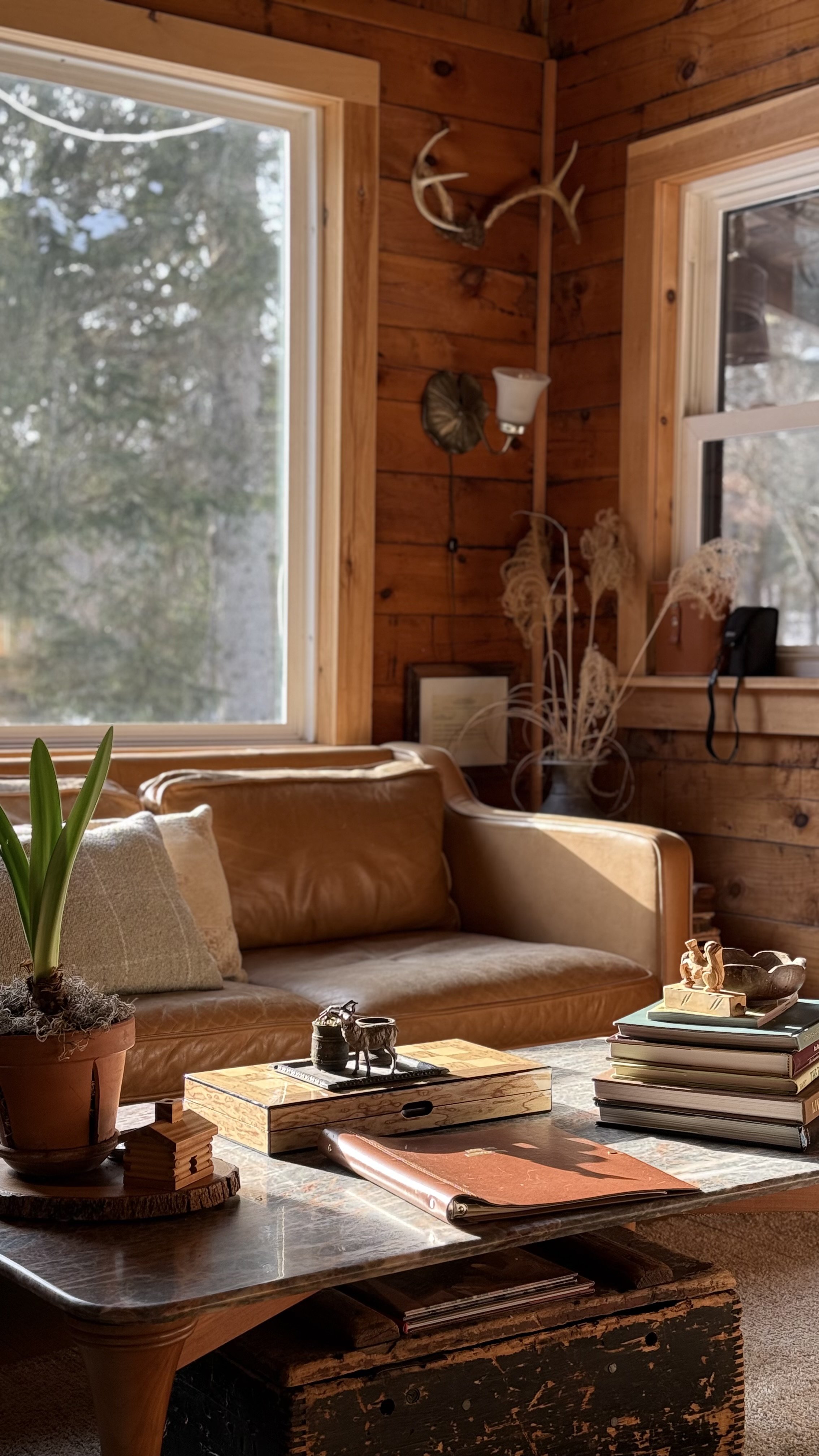 Cozy living room corner with large windows, a leather sofa, a wooden coffee table with books and decor, a potted plant, and wood-paneled walls decorated with antlers and dried plants.