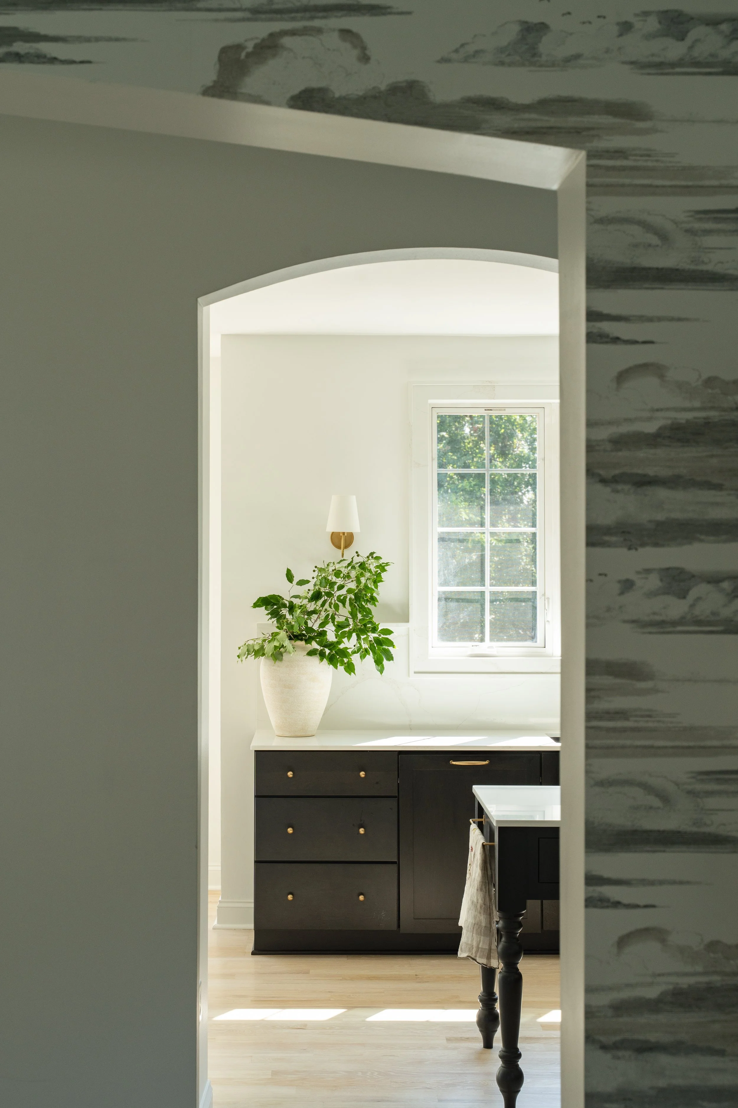 Kitchen with black cabinetry, a window, and a large potted green plant, viewed through an arched doorway.