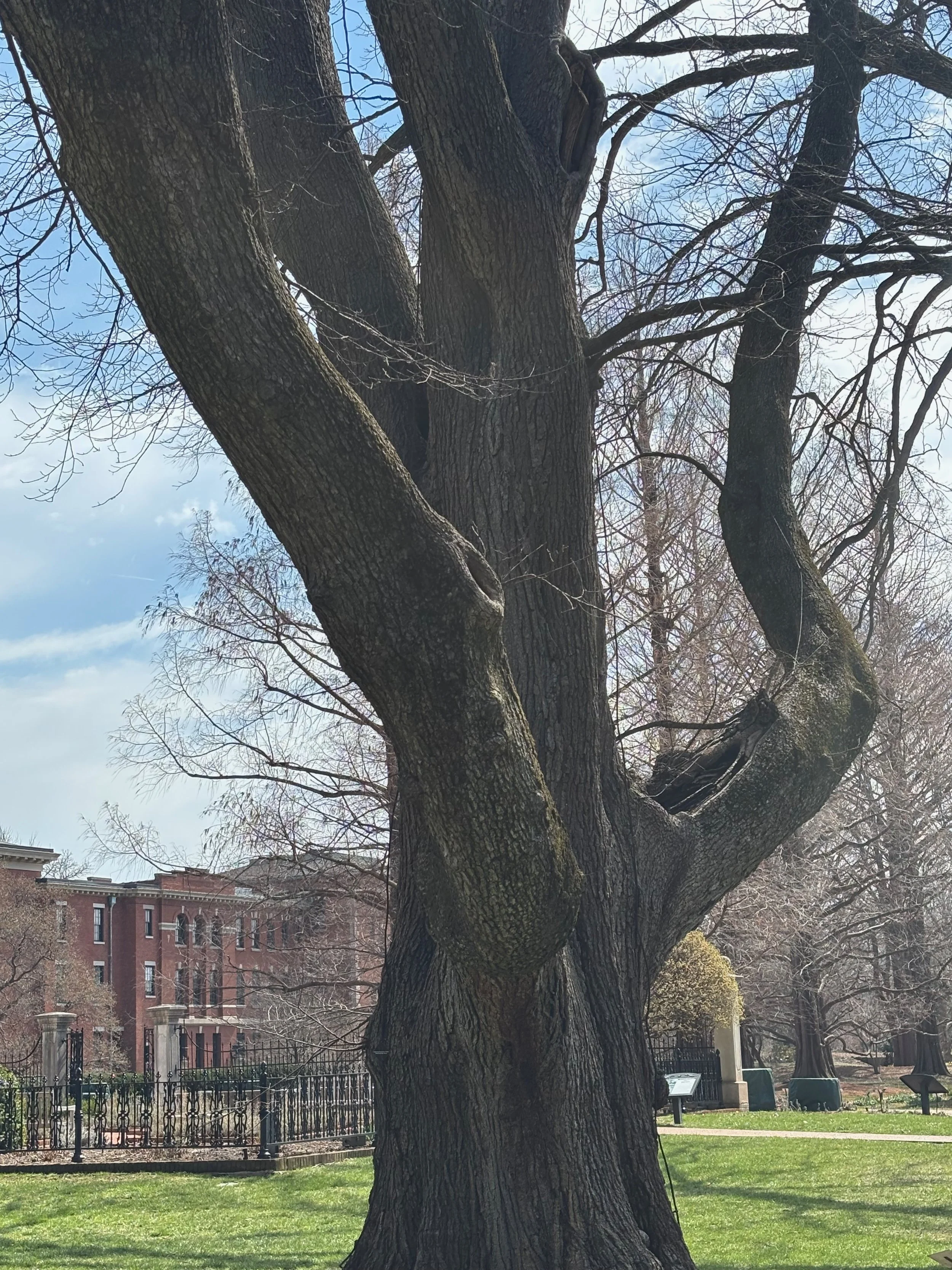 Do you see a human shape here?