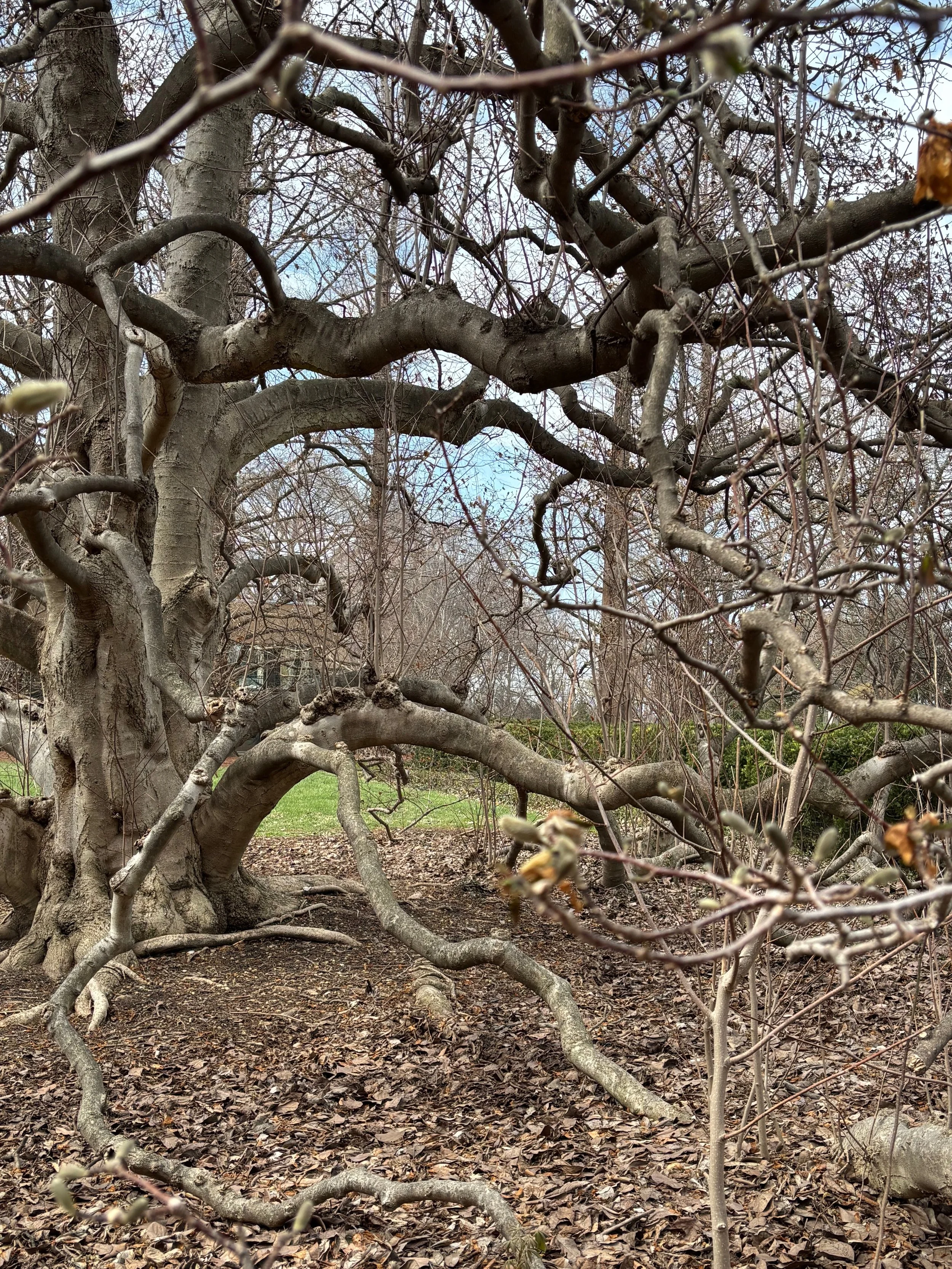 It's a beautiful mess.