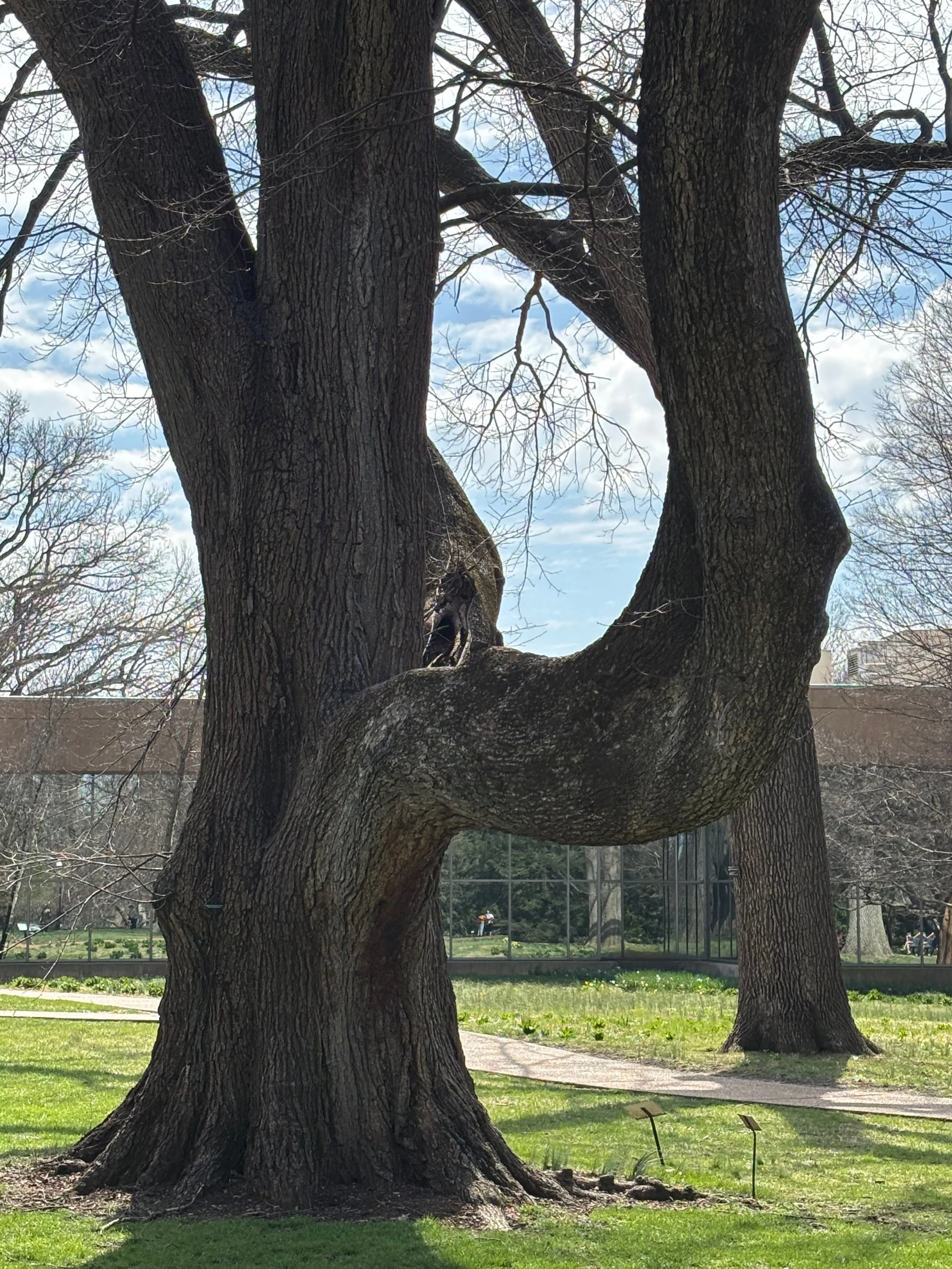 Do you see an animal shape from this angle?