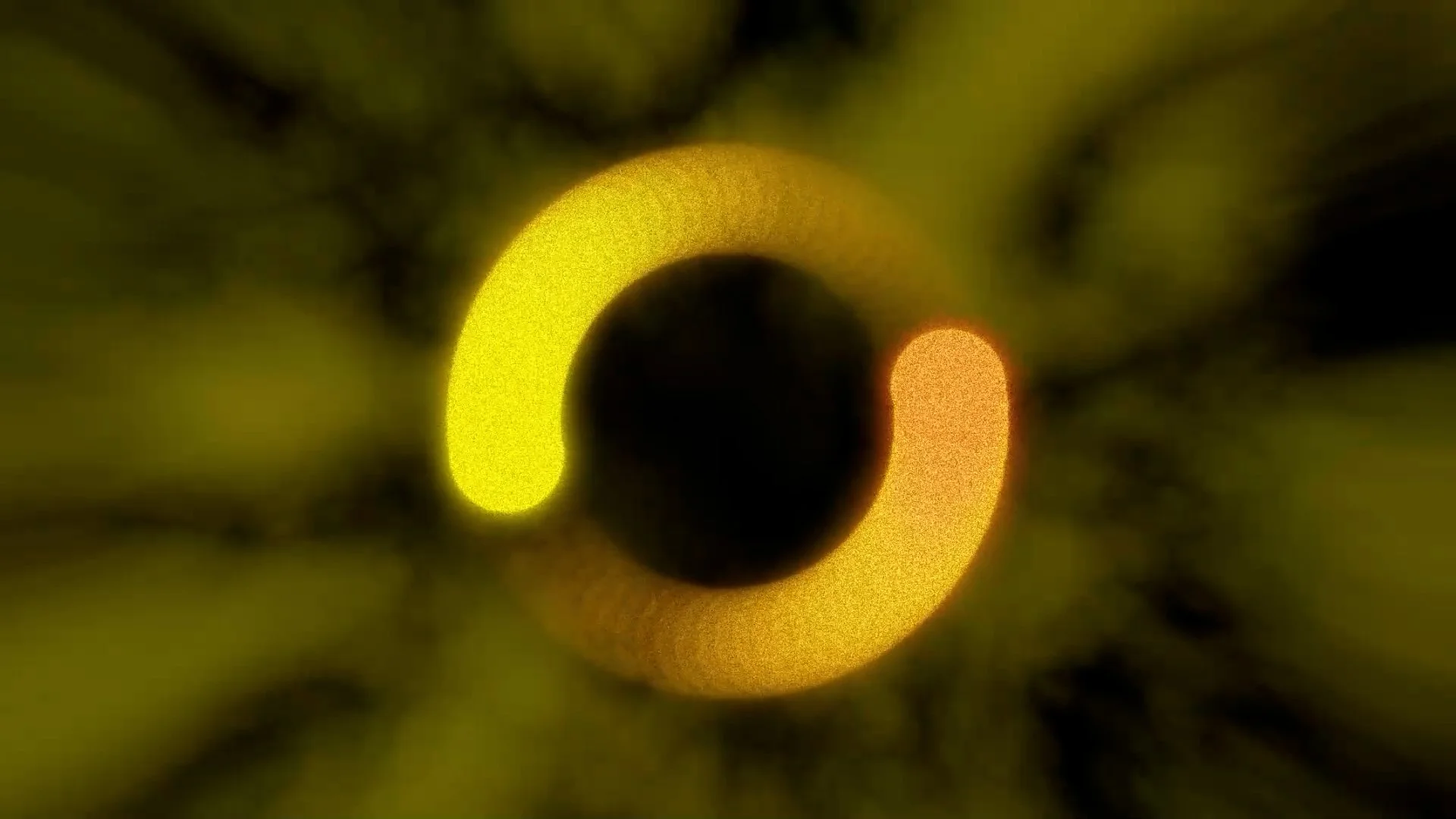 Follow - 01.00_01_51_36.Still005.jpg