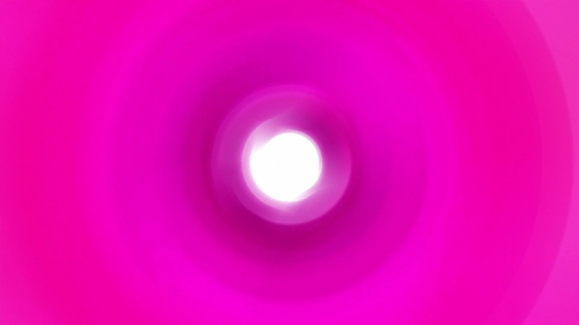 Radial (7).00_07_46_00.Still009.jpg