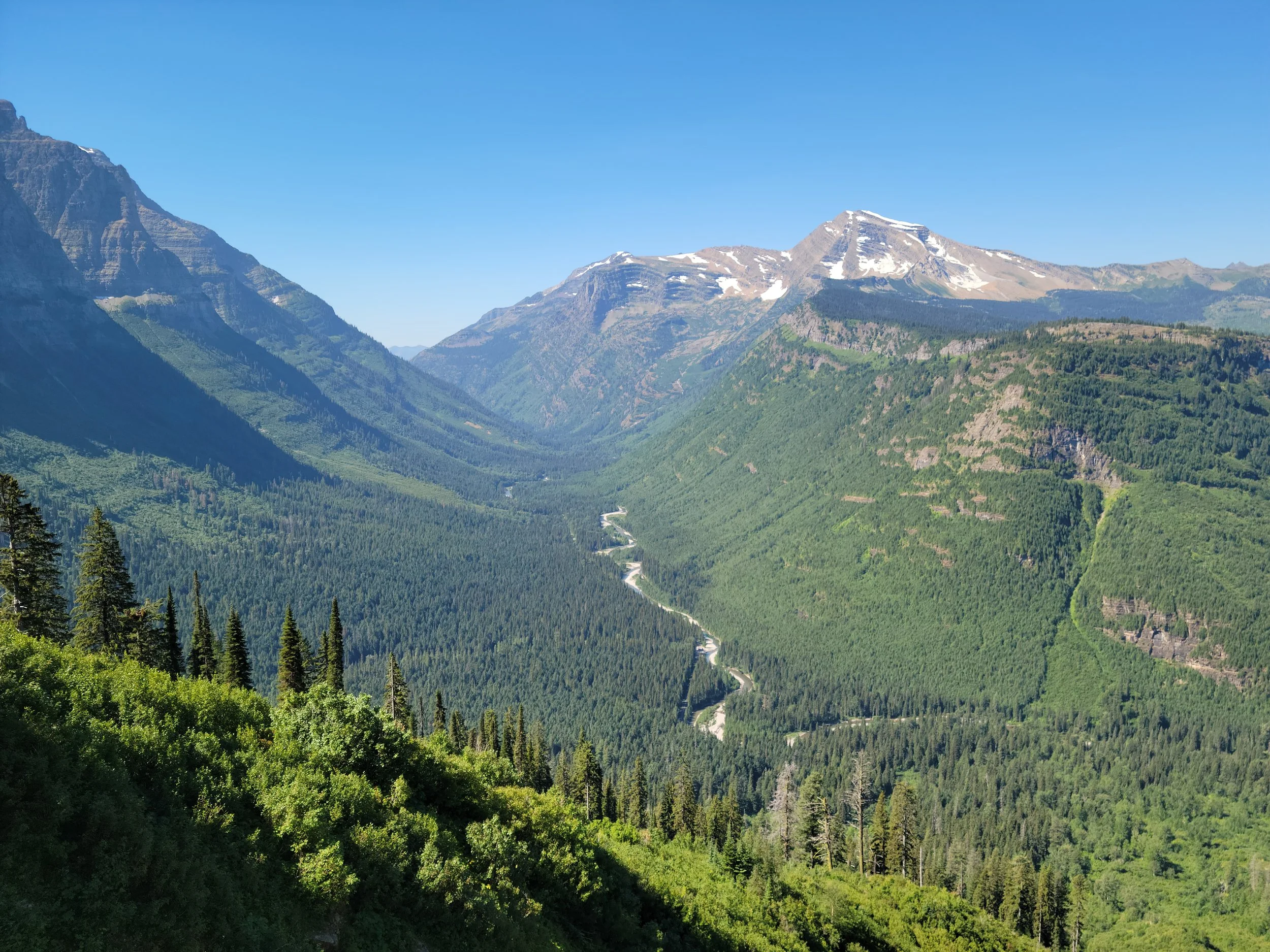 The Road from Sturgis: Roaming Cage Free