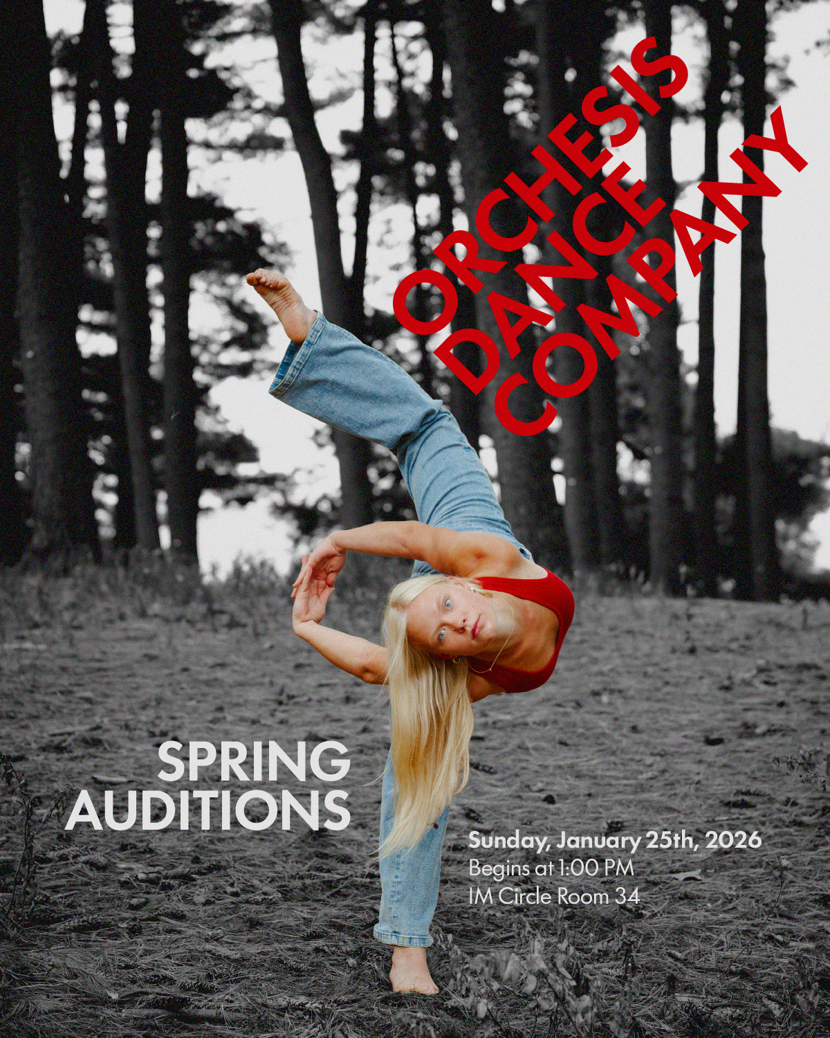 Spring Audition Post 2.png