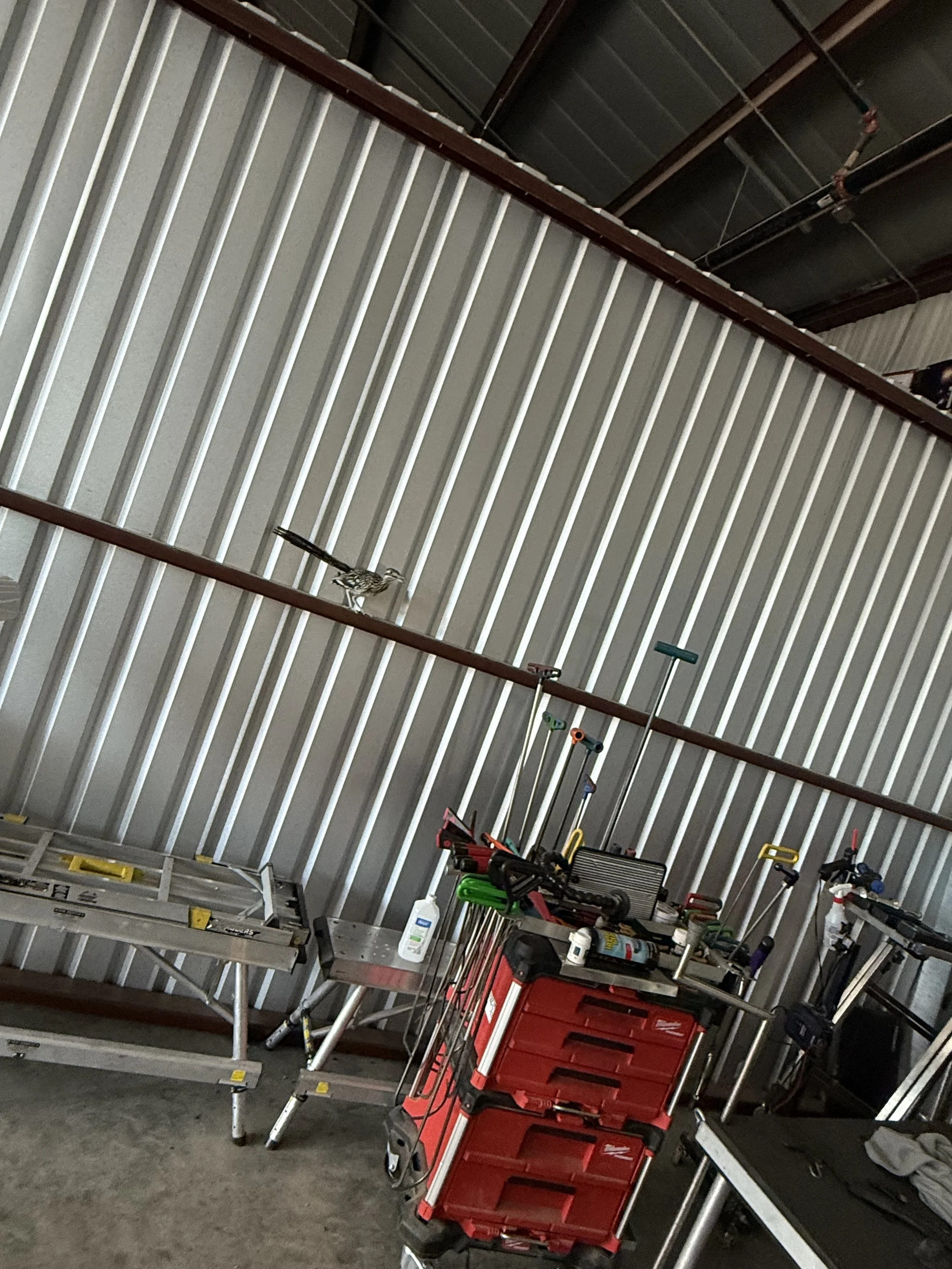 hail bent auto hail repair weatherford tx